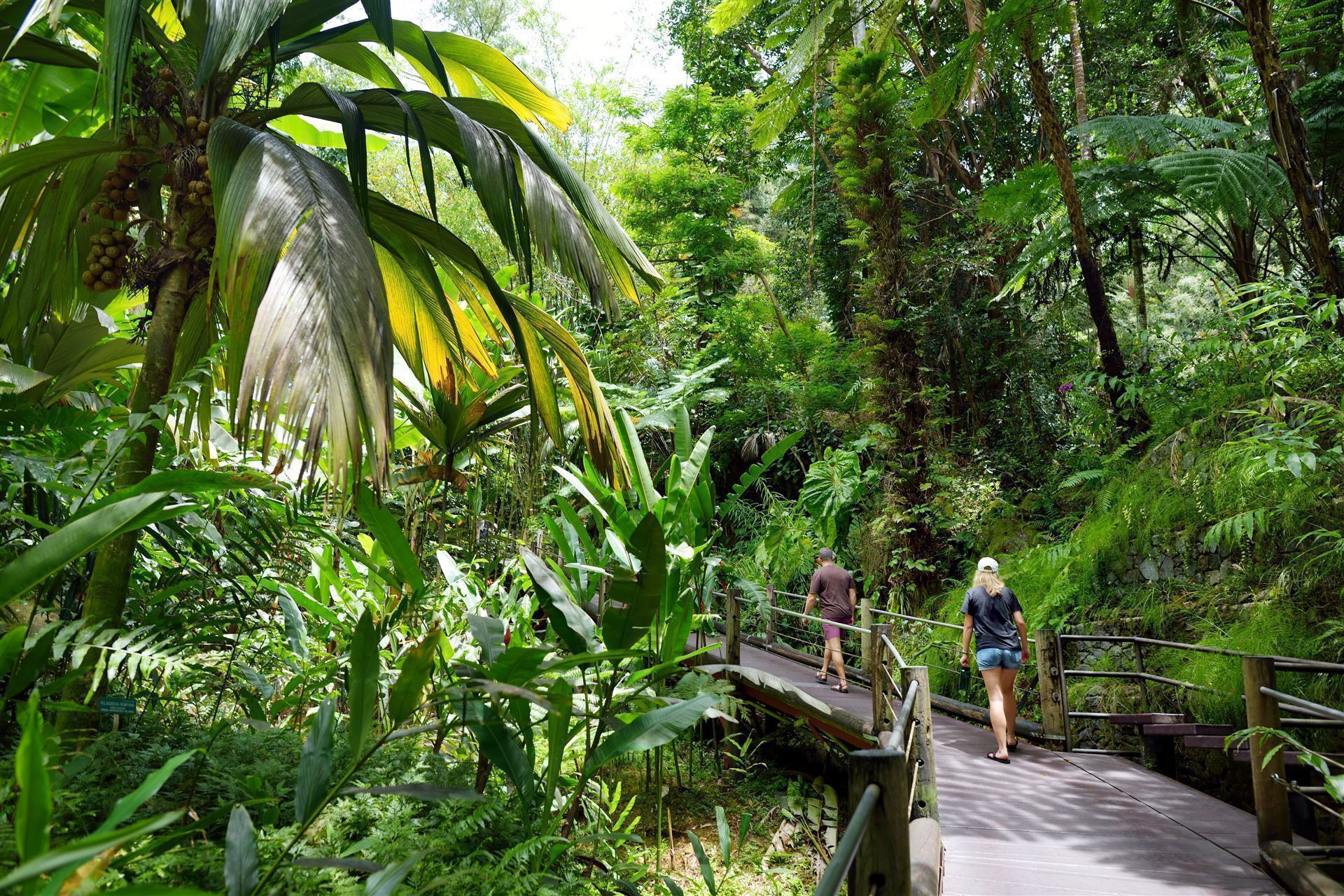 Touristen im Tropical Botanical Garden