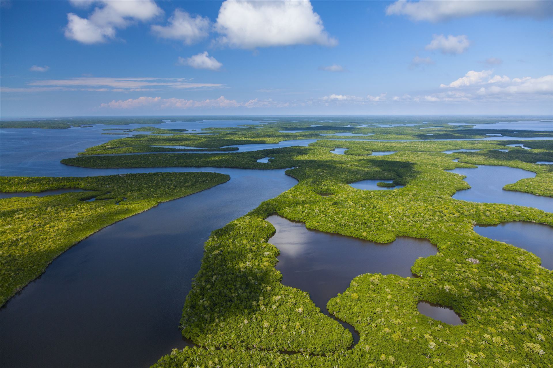 Luftaufnahme vom Everglades Nationalpark