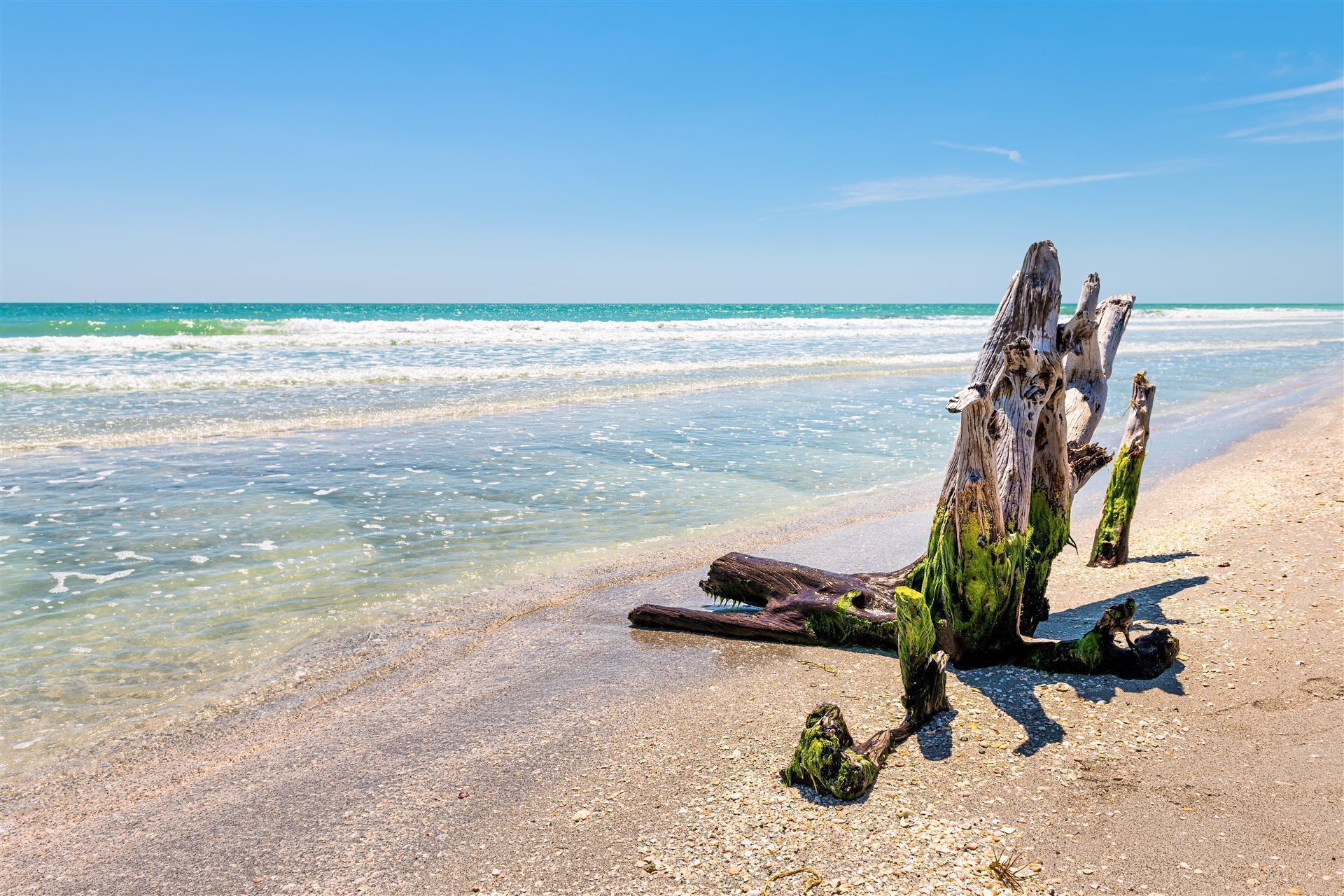 Impressionen von Sanibel Island