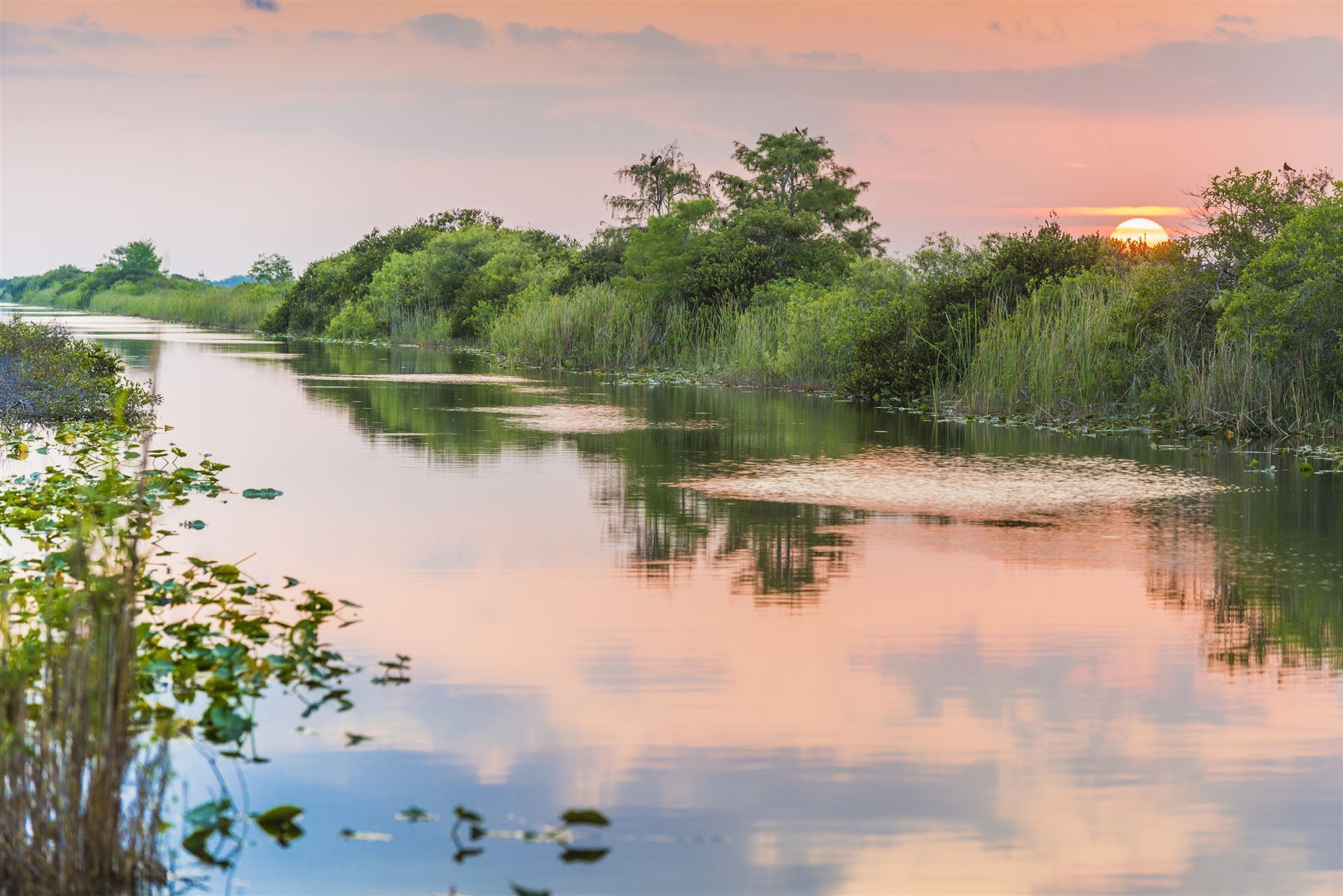 Everglades Nationpark