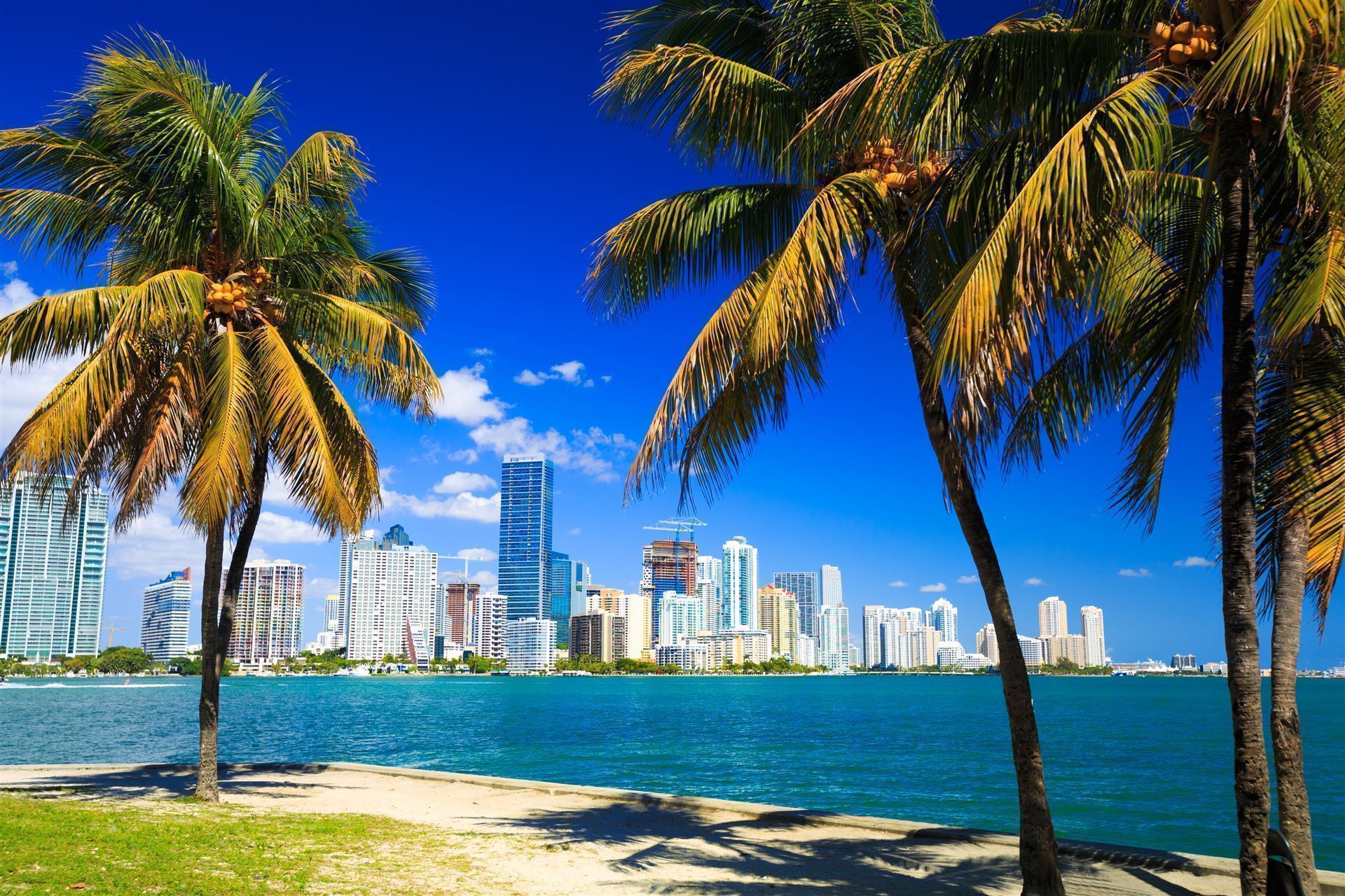 Skyline Miami