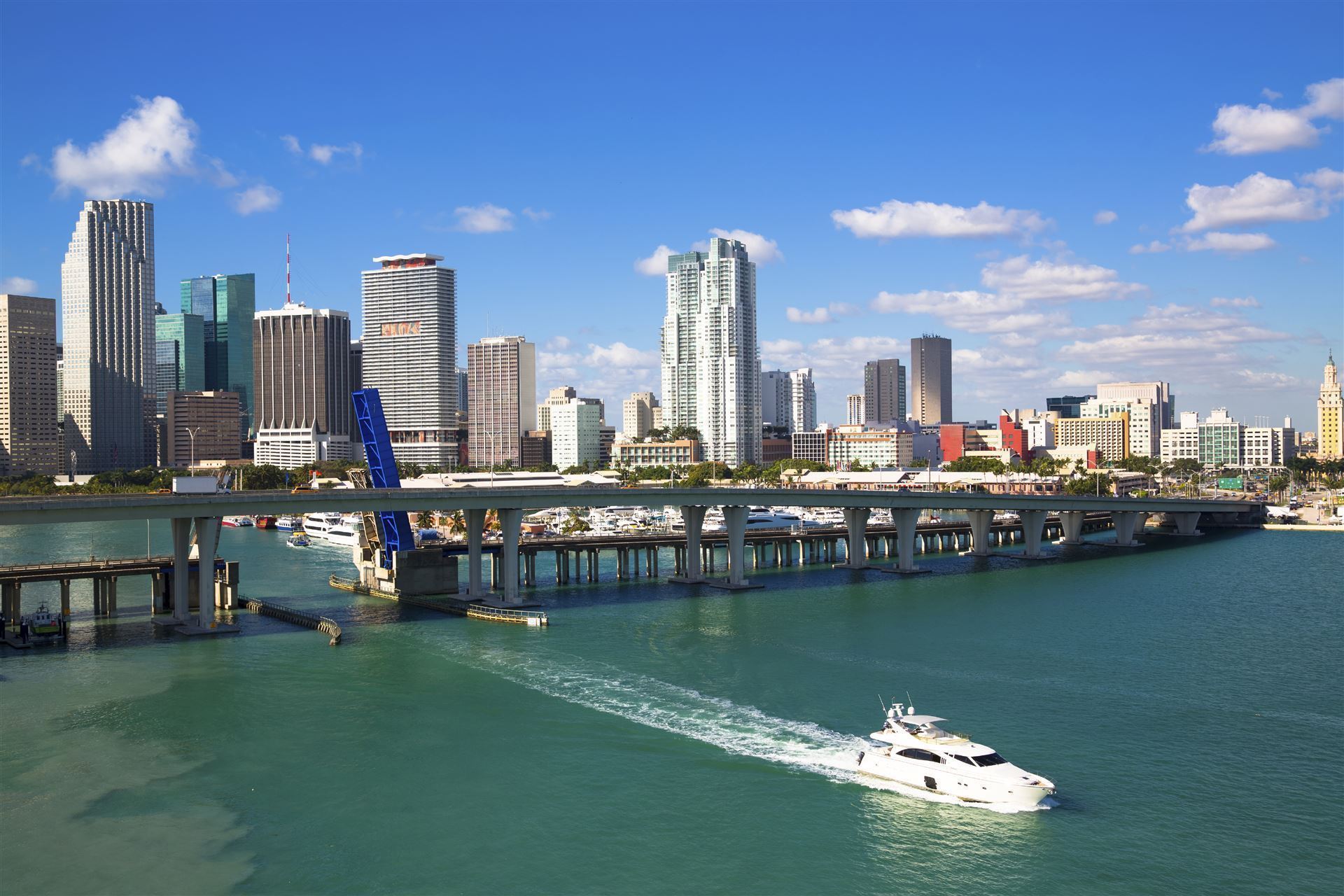 Miami Skyline