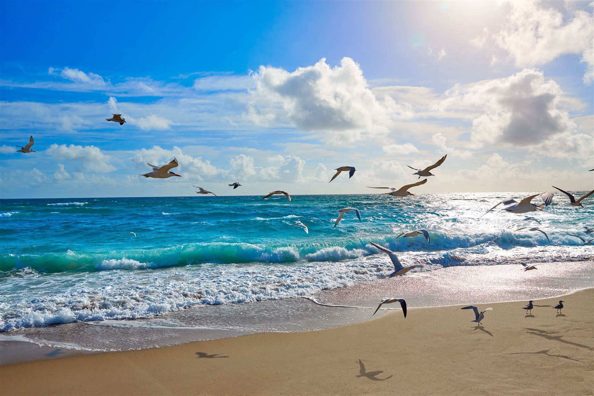 Impressionen aus Palm Beach