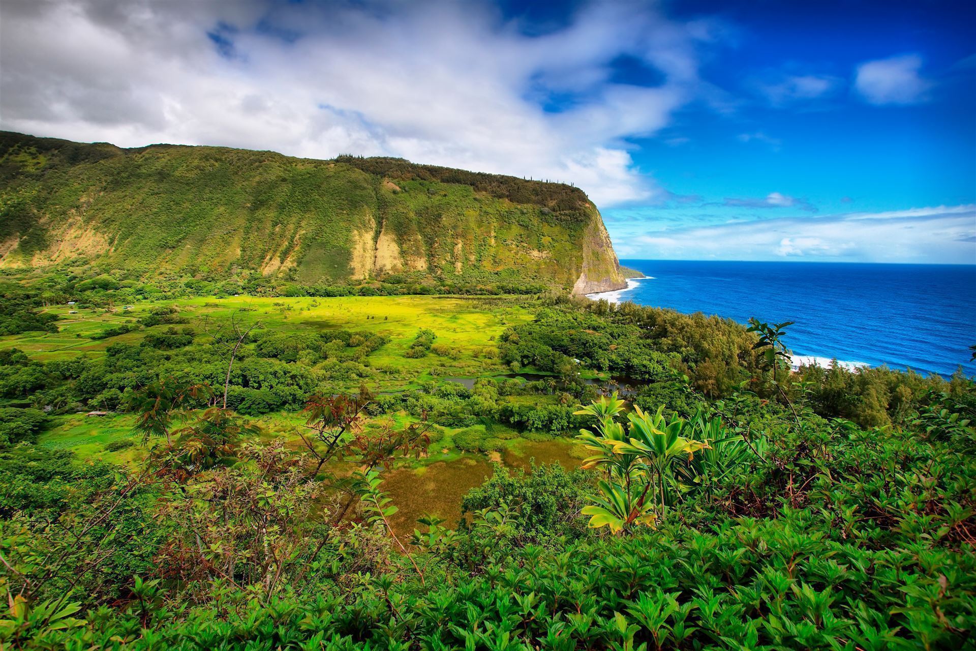 Waipio Valley auf Big Island