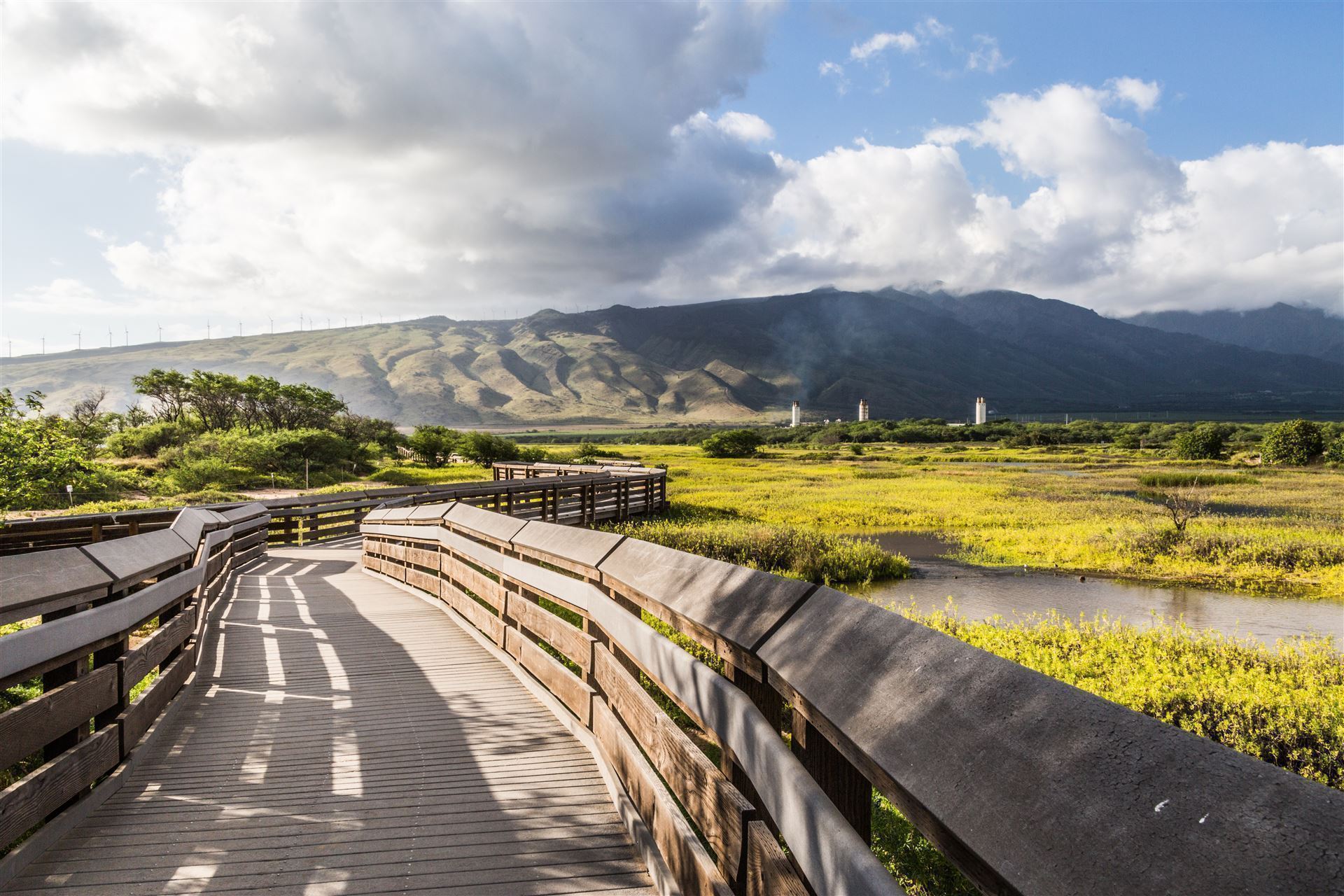 Kealia Coastal Boardwalk