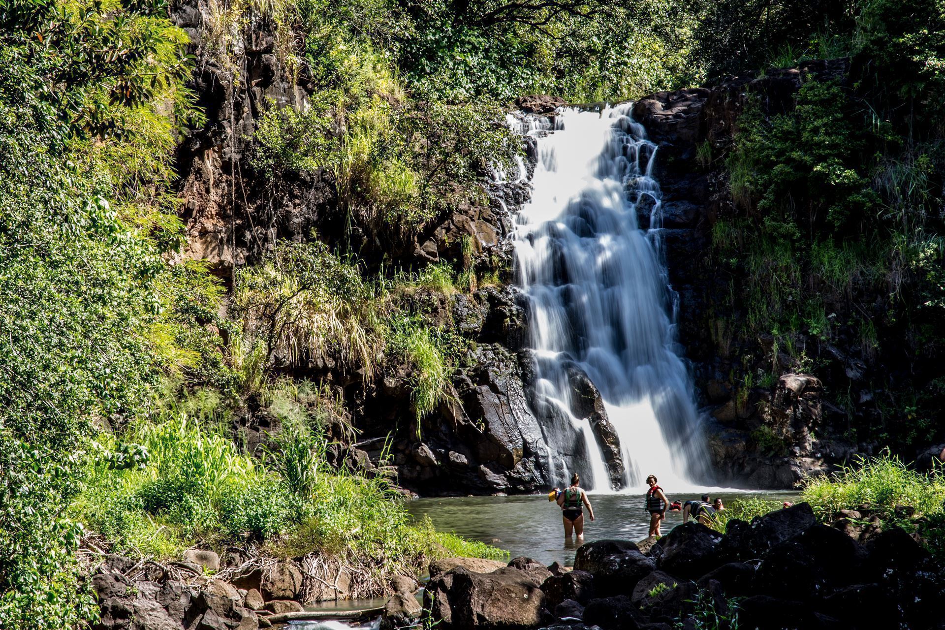 Wasserfall im Waimea Valley Park