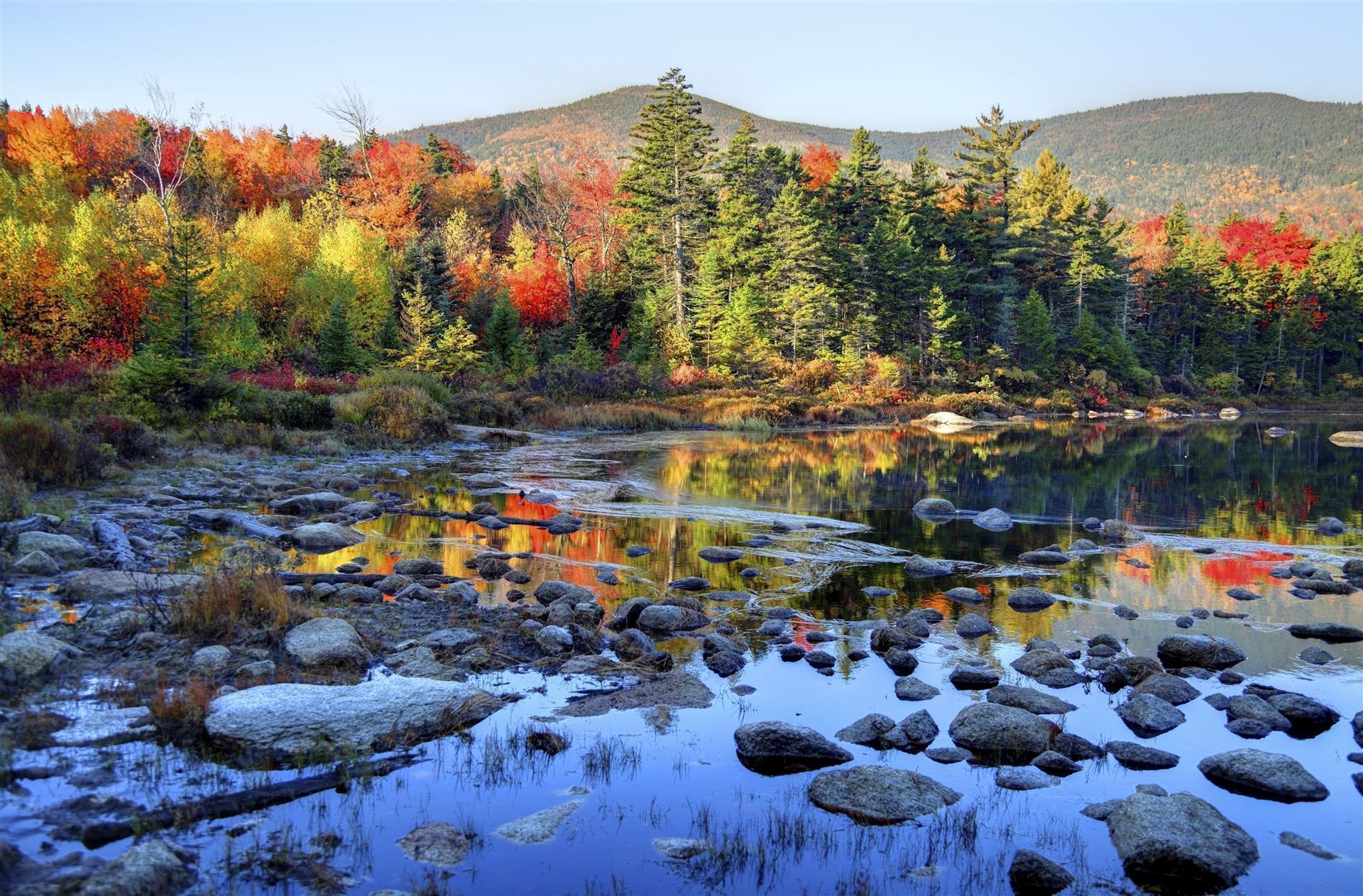 White Mountains