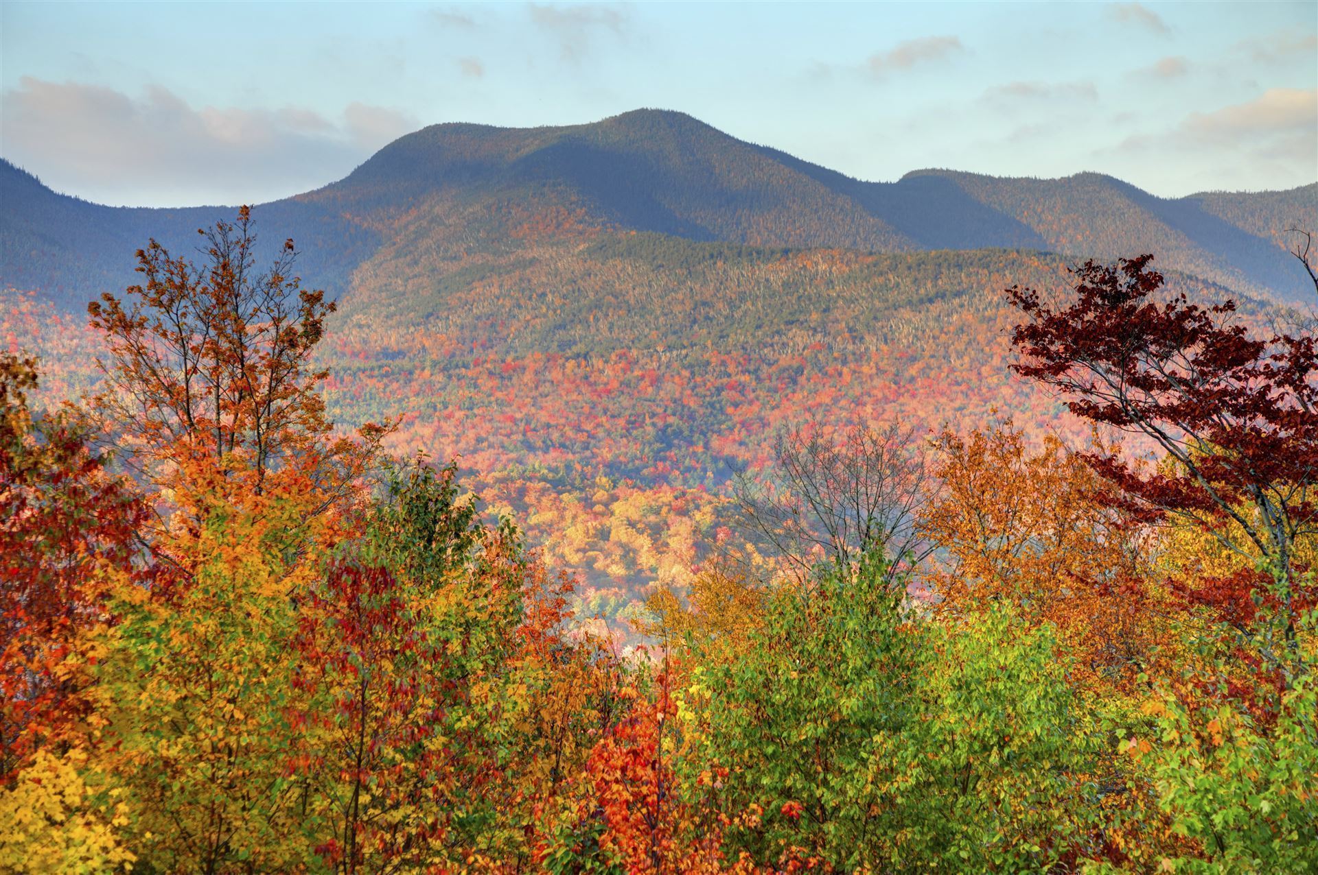 Herbstlaubfaerbung White Mountains