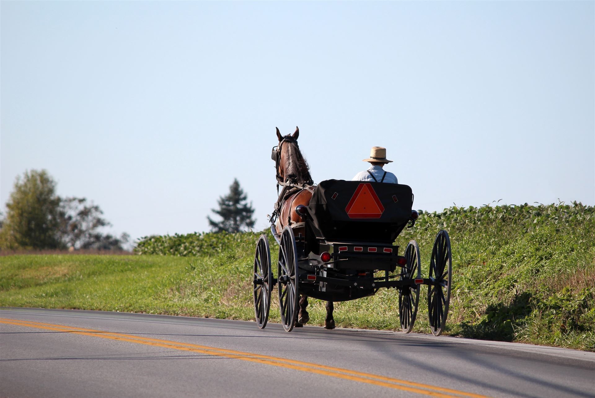 Amish People in Lancaster