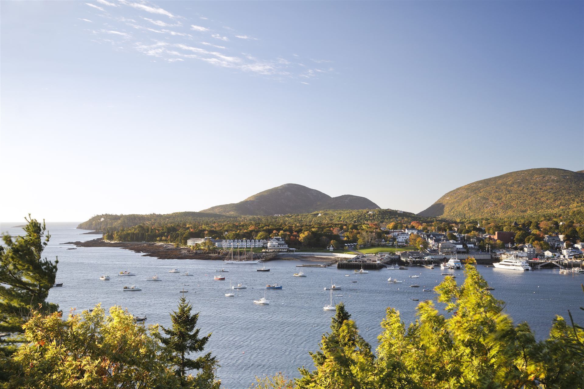 Blick auf den Hafen von Bar Harbor