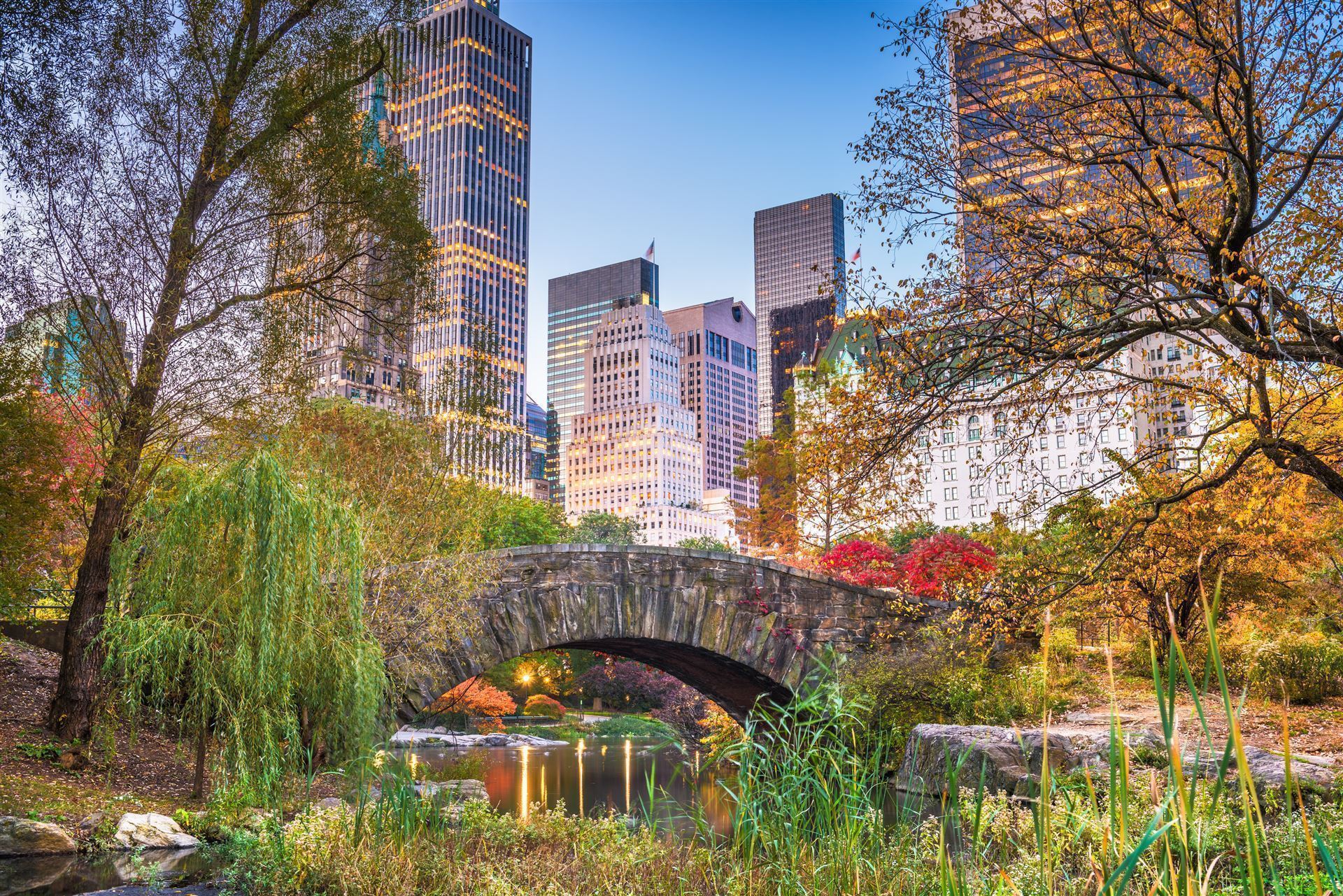 Impressionen aus dem Central Park
