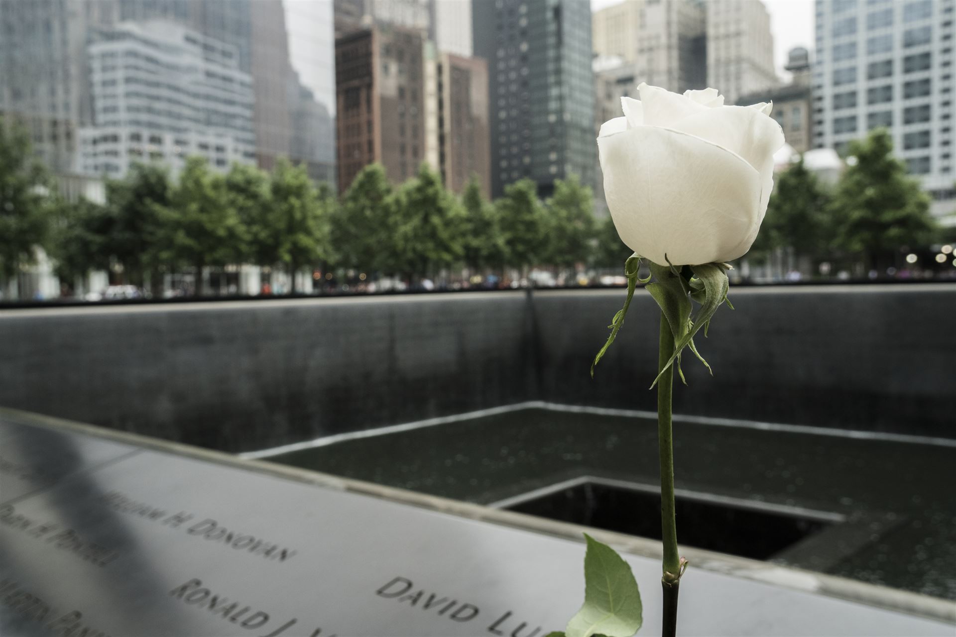 Ground Zero
