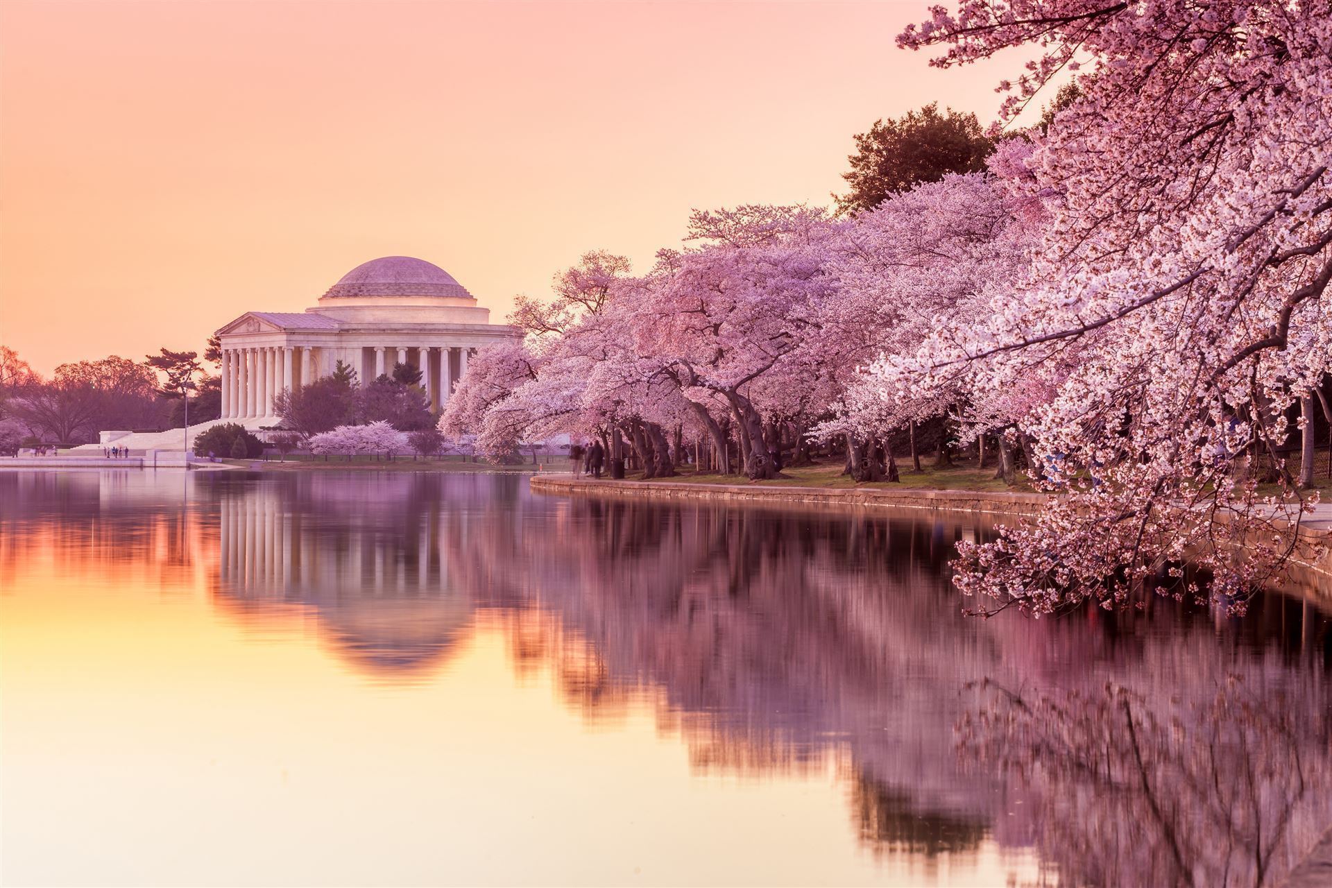 Jefferson Memorial im Frühling