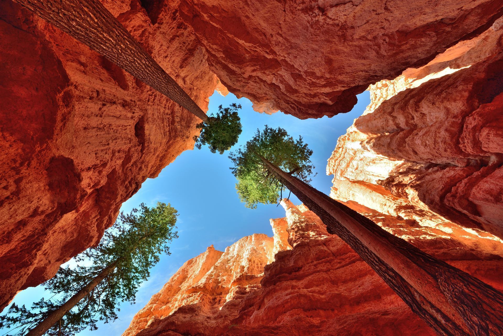 Bryce Canyon Nationalpark