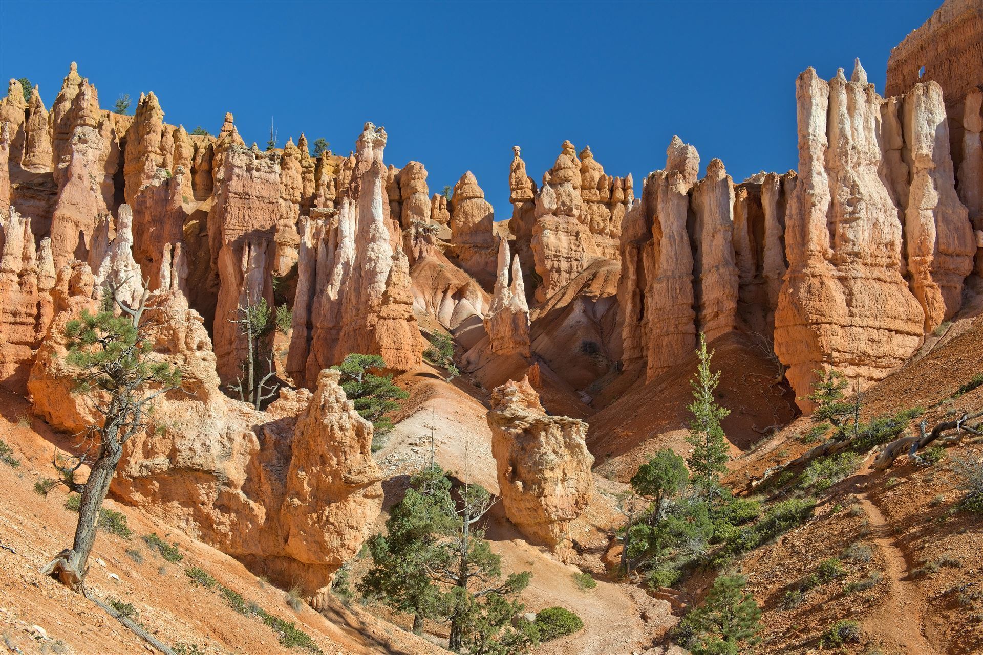 Bryce Canyon Nationalpark