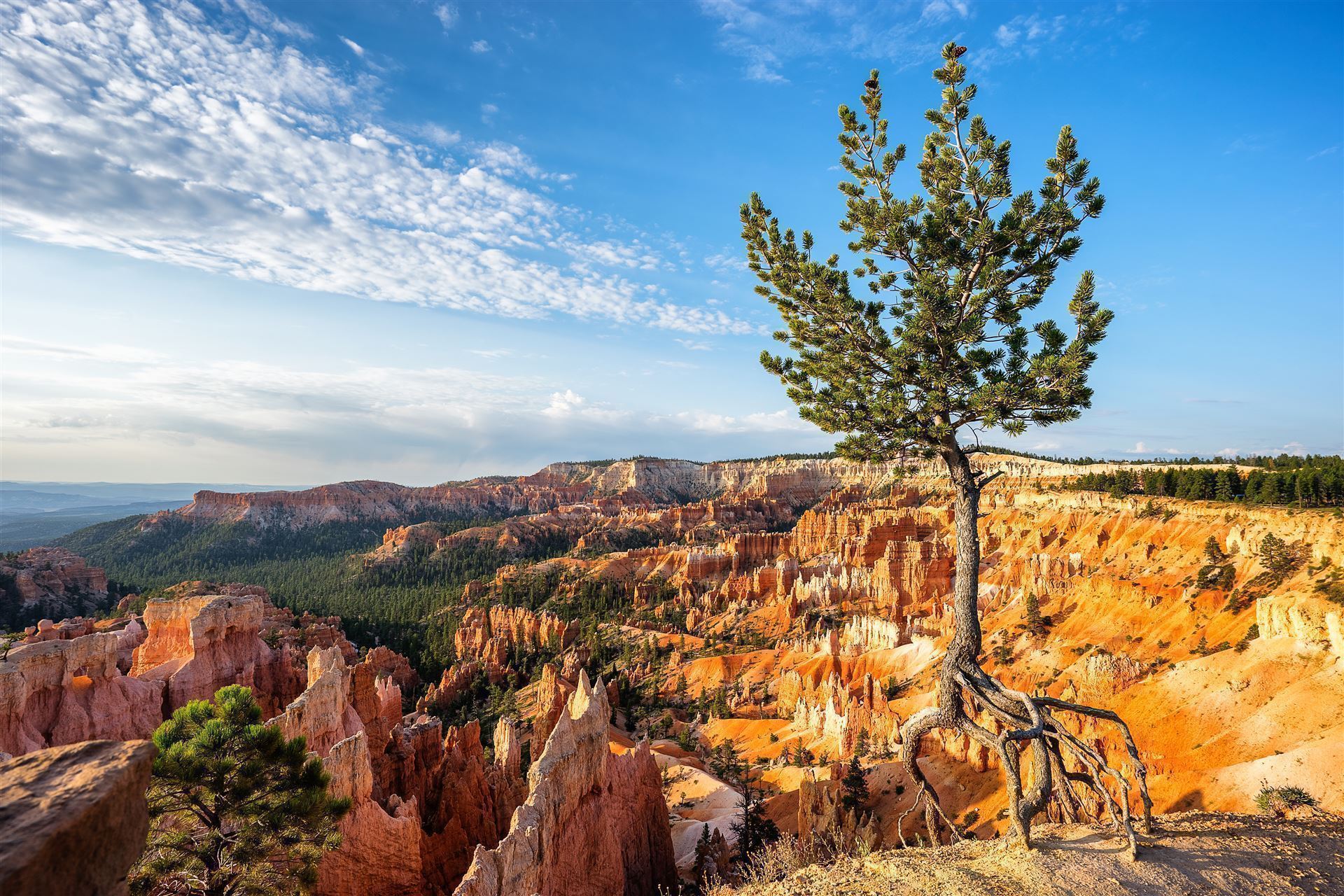 Bryce Canyon Nationalpark