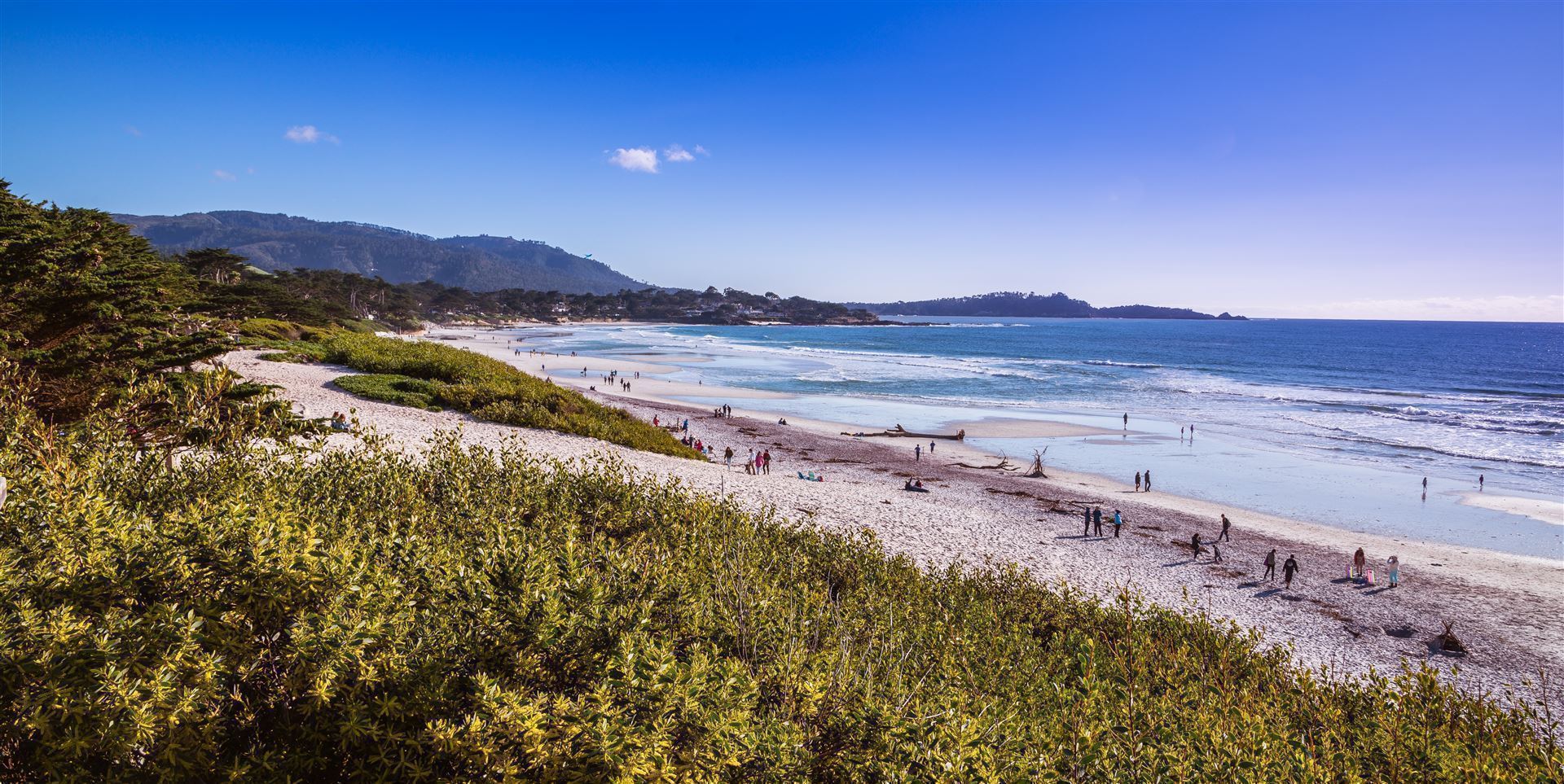 Sunset State Beach