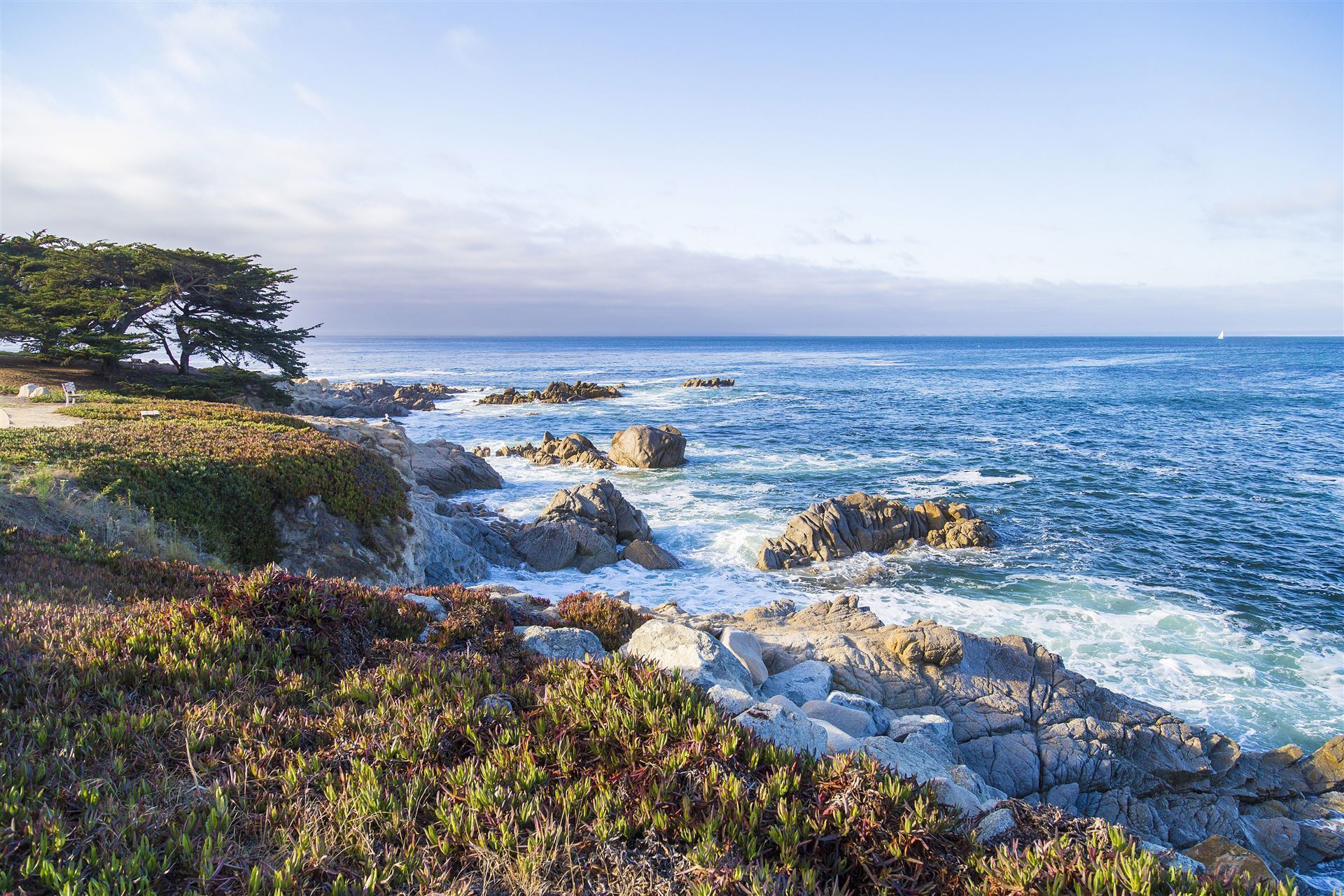 Impressionen von der Monterey Bay