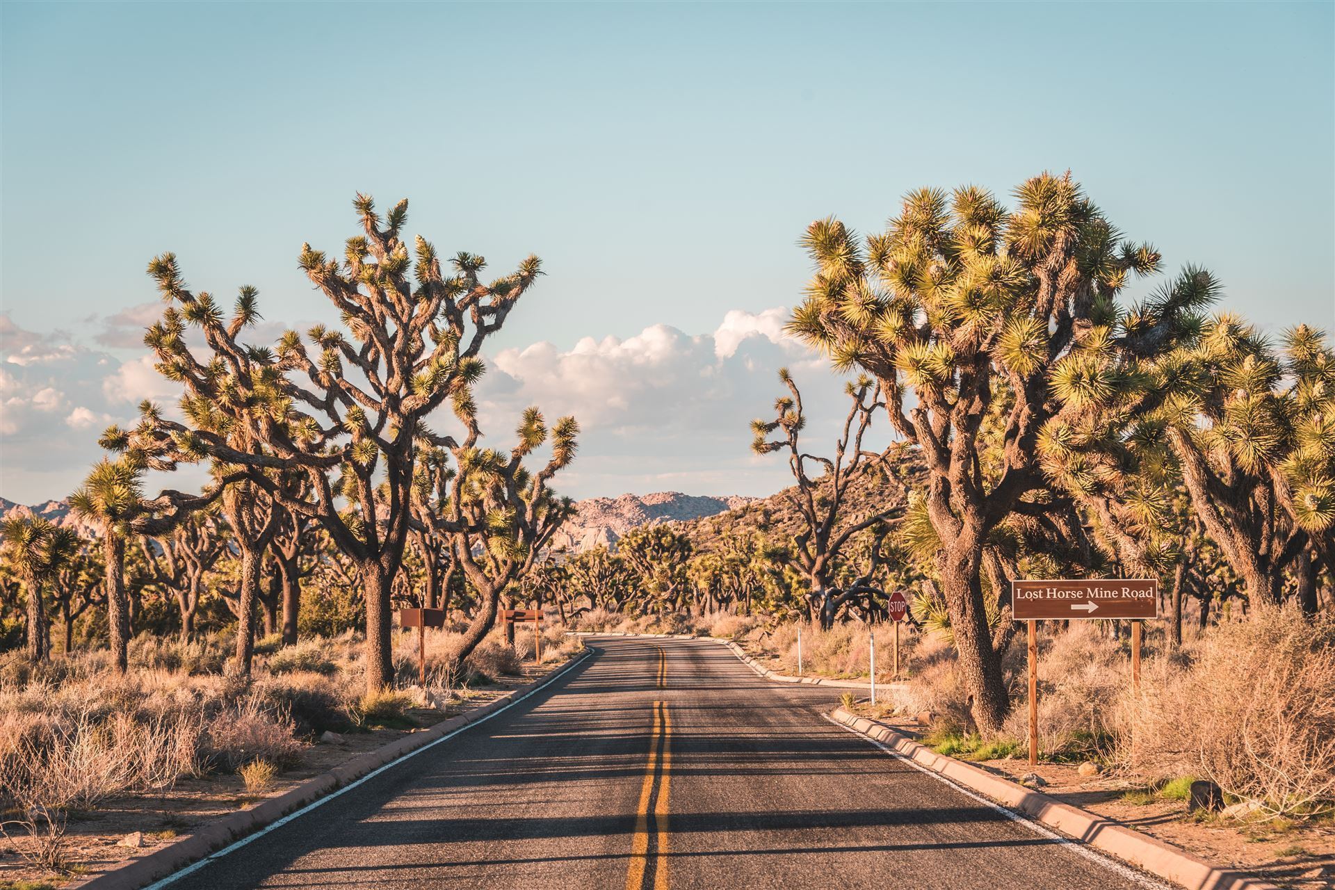 Straße im Joshua Tree Nationalpark