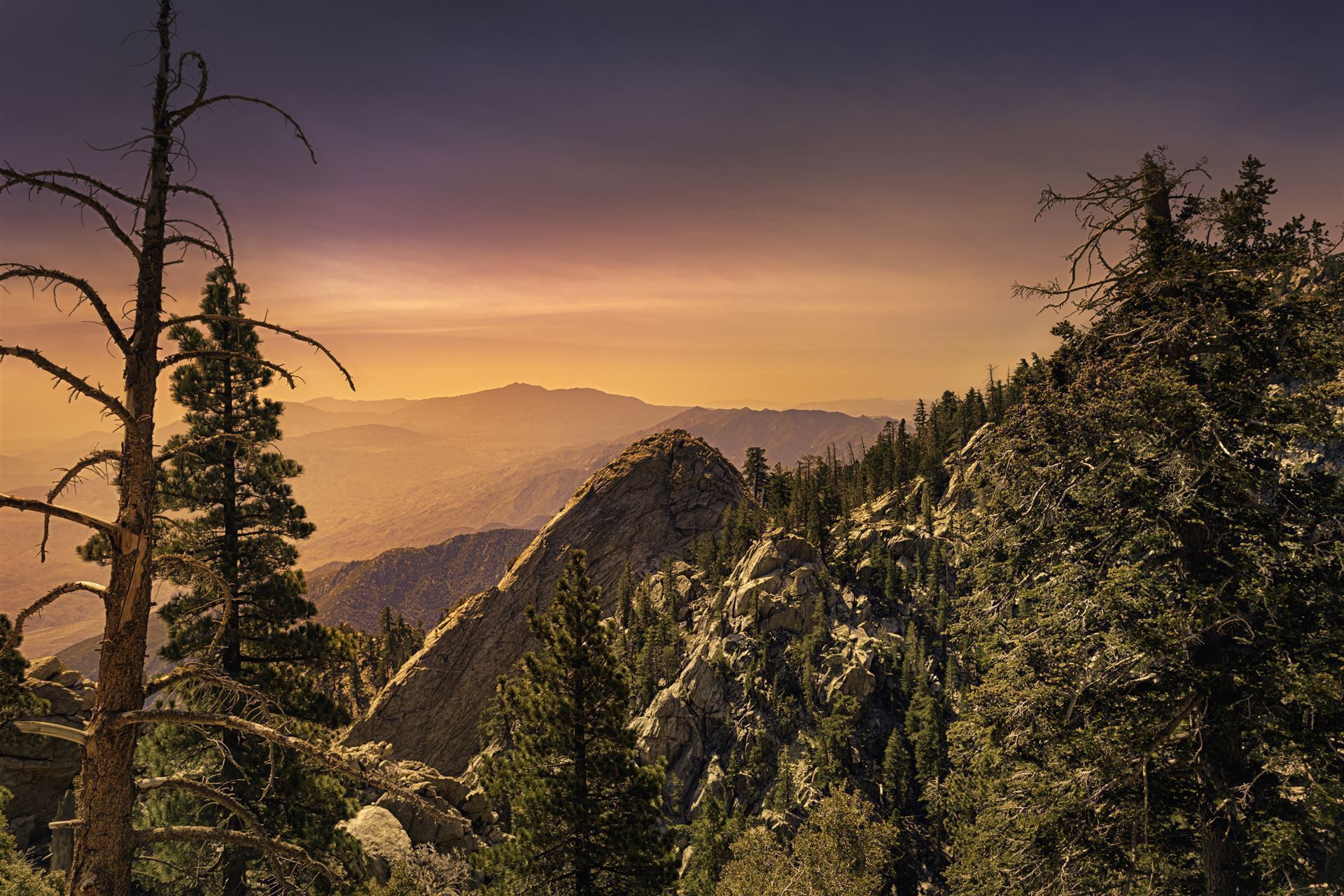 Mount Jacinto State Park