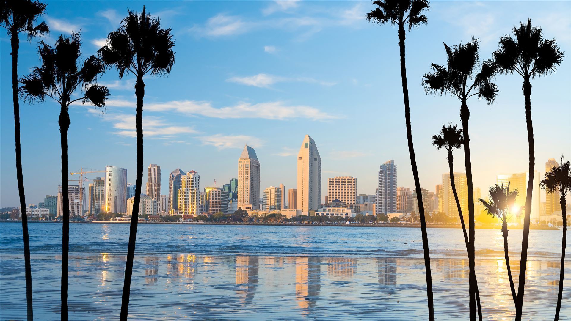 San Diego Skyline