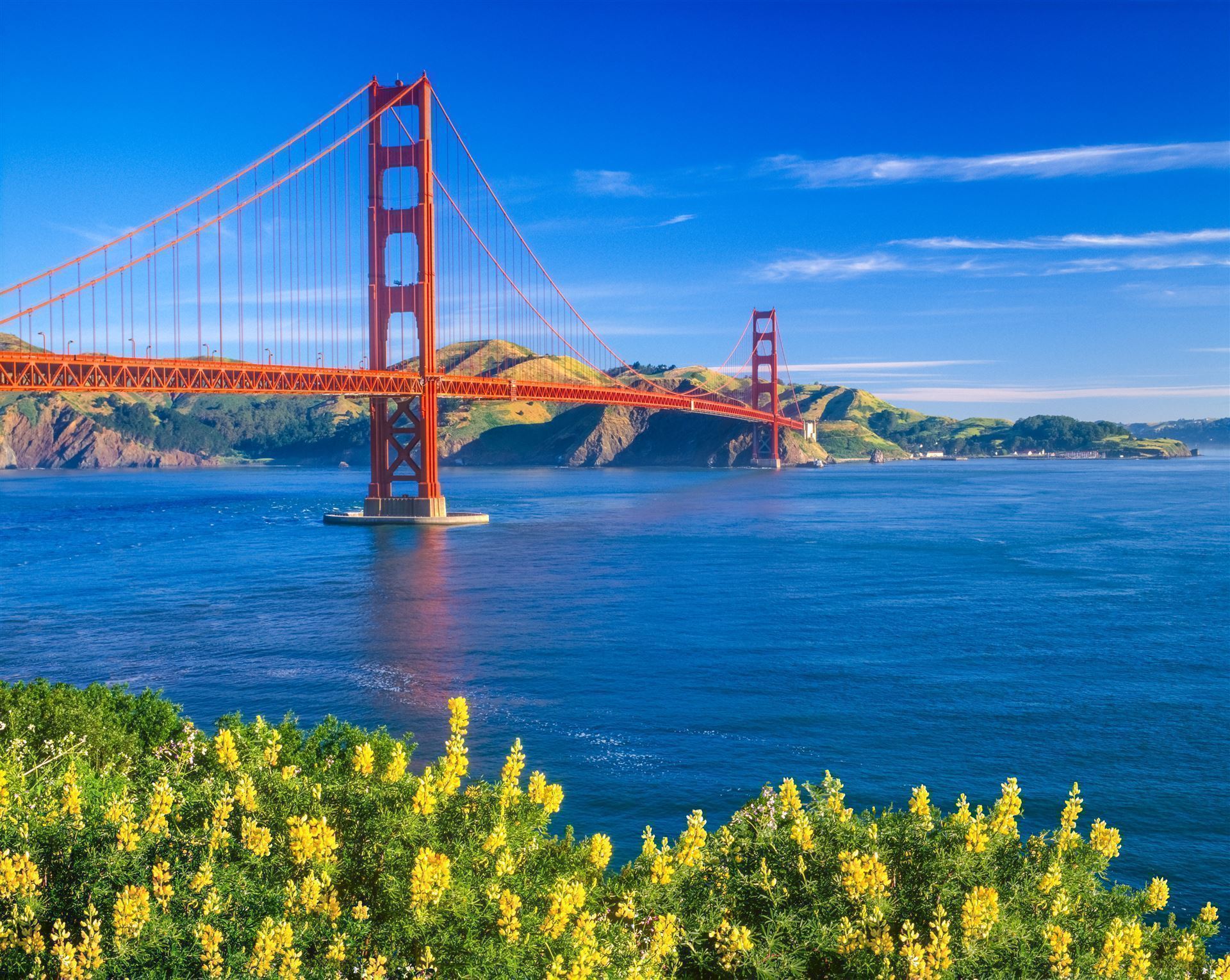 Frühling an der Golden Gate Bridge