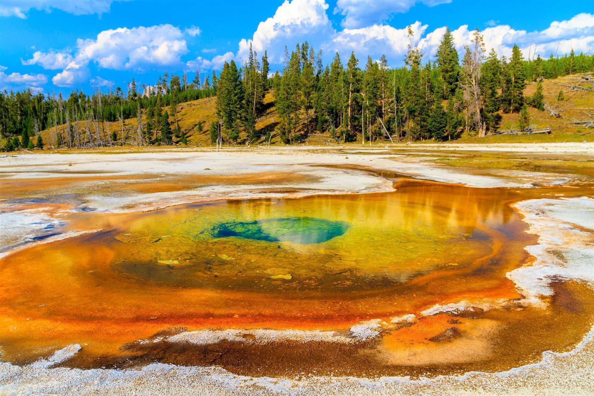 Yellowstone Nationalpark Geysir
