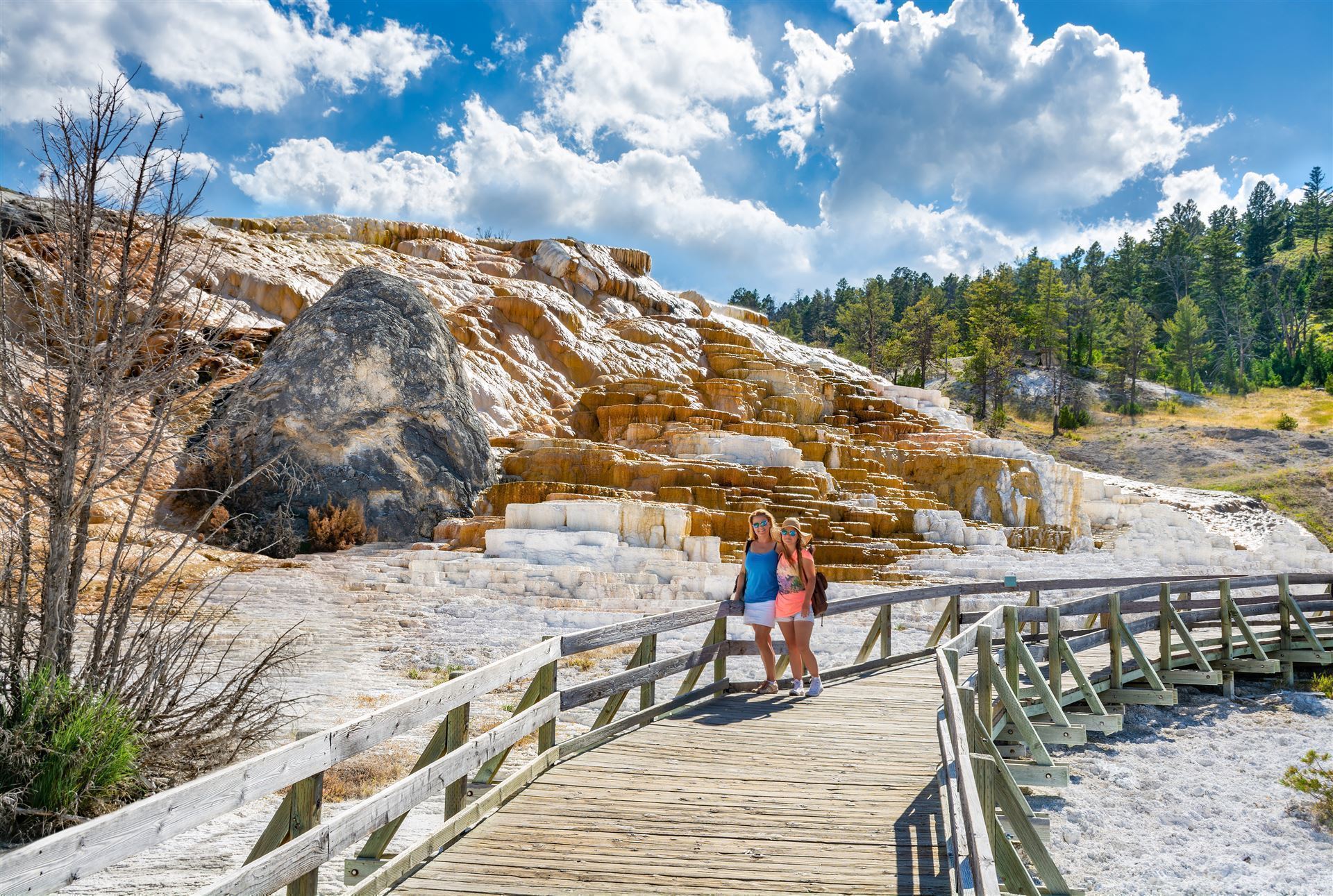 Touristen an den Mammoth Hot Springs