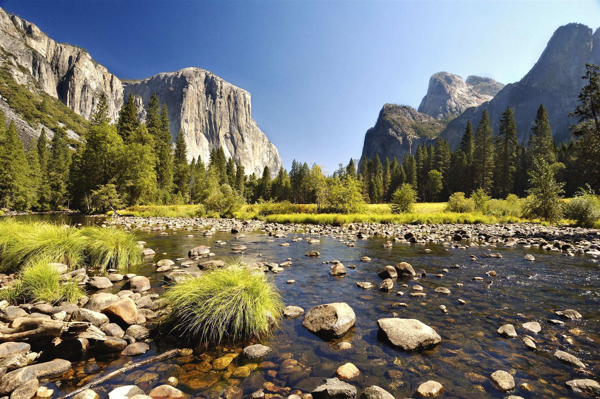 Merced River und El Capitan im Yosemite NP