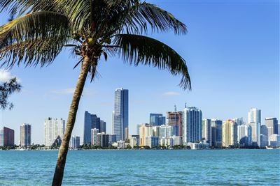 Miami Downtown Skyline