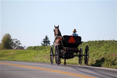 Amish People in Lancaster