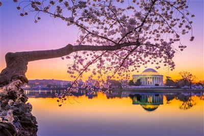 Jefferson Memorial im Fruehling