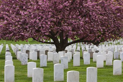 Nationalfriedhof Arlington