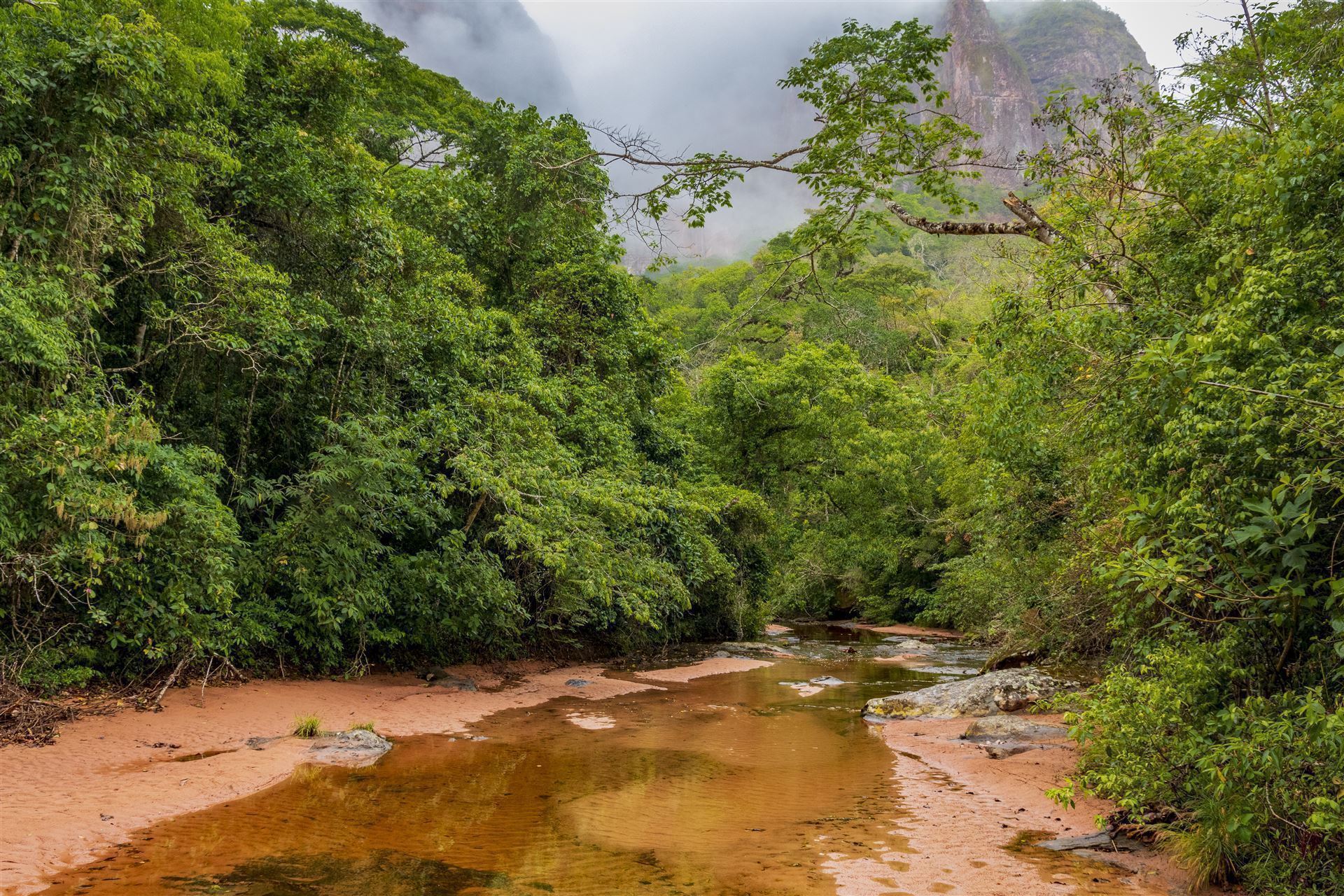 Amboro Nationalpark mit Fuss