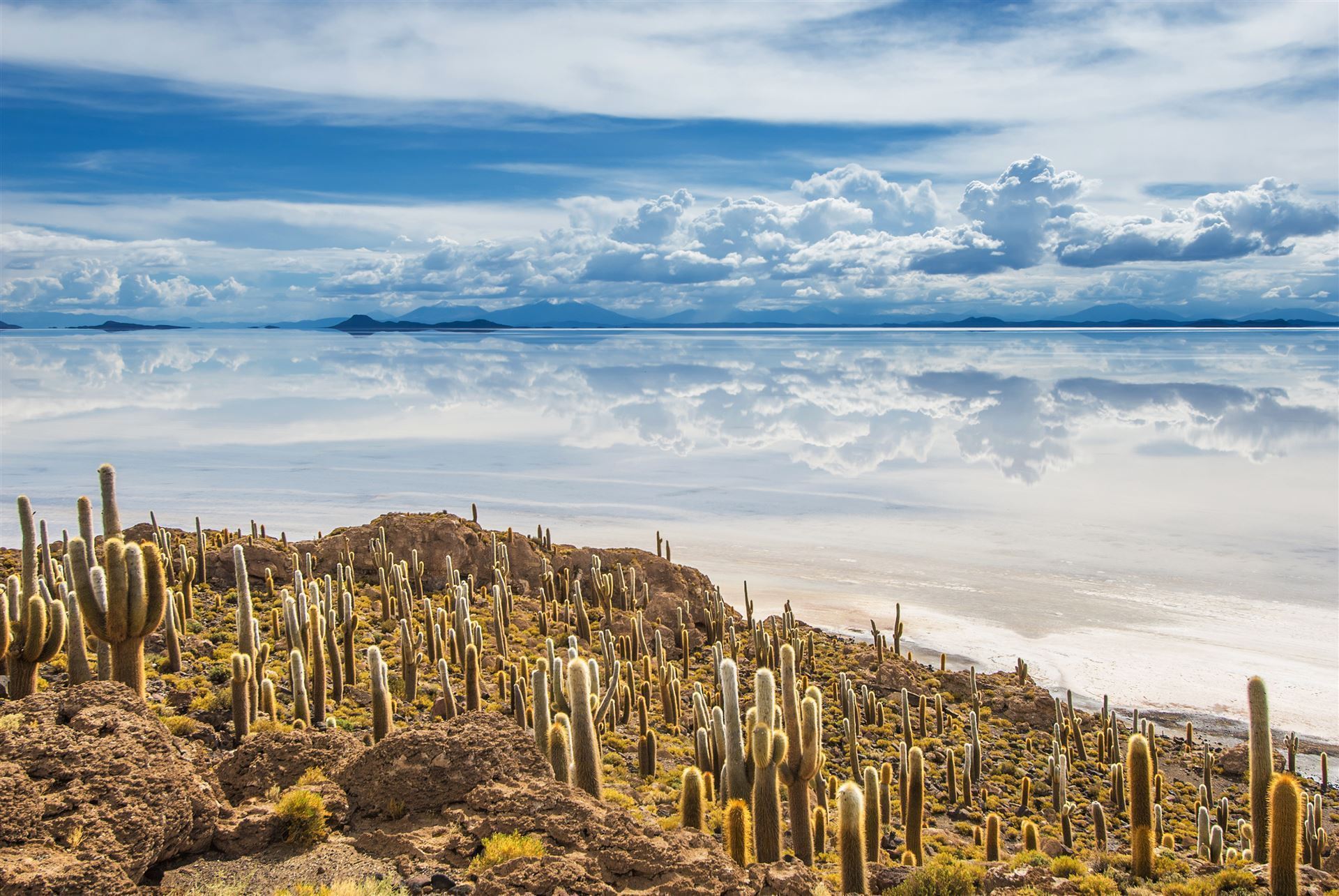 Insel Icahuasi mit Kakteen