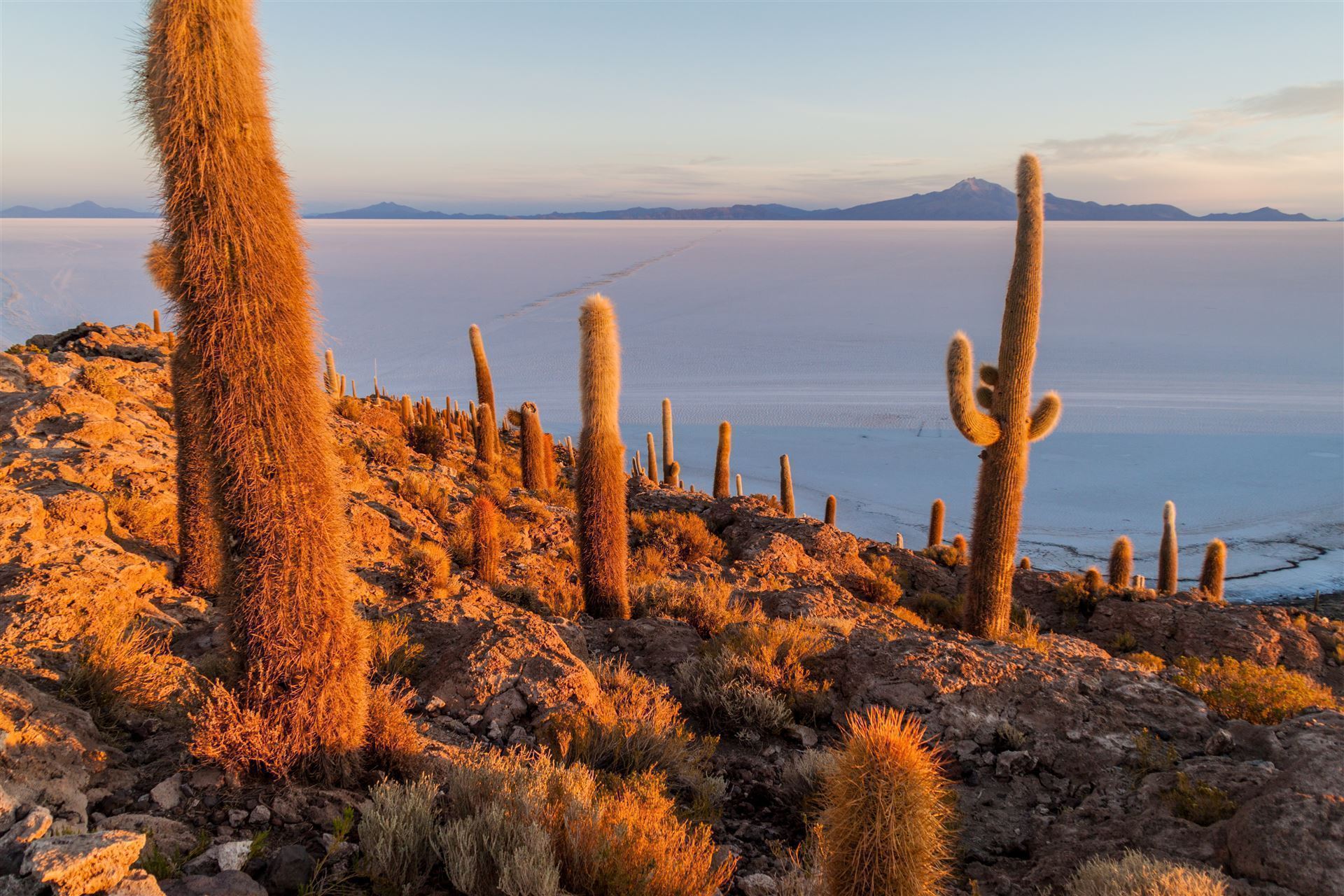 Isla Incahuasi bei Sonnenuntergang