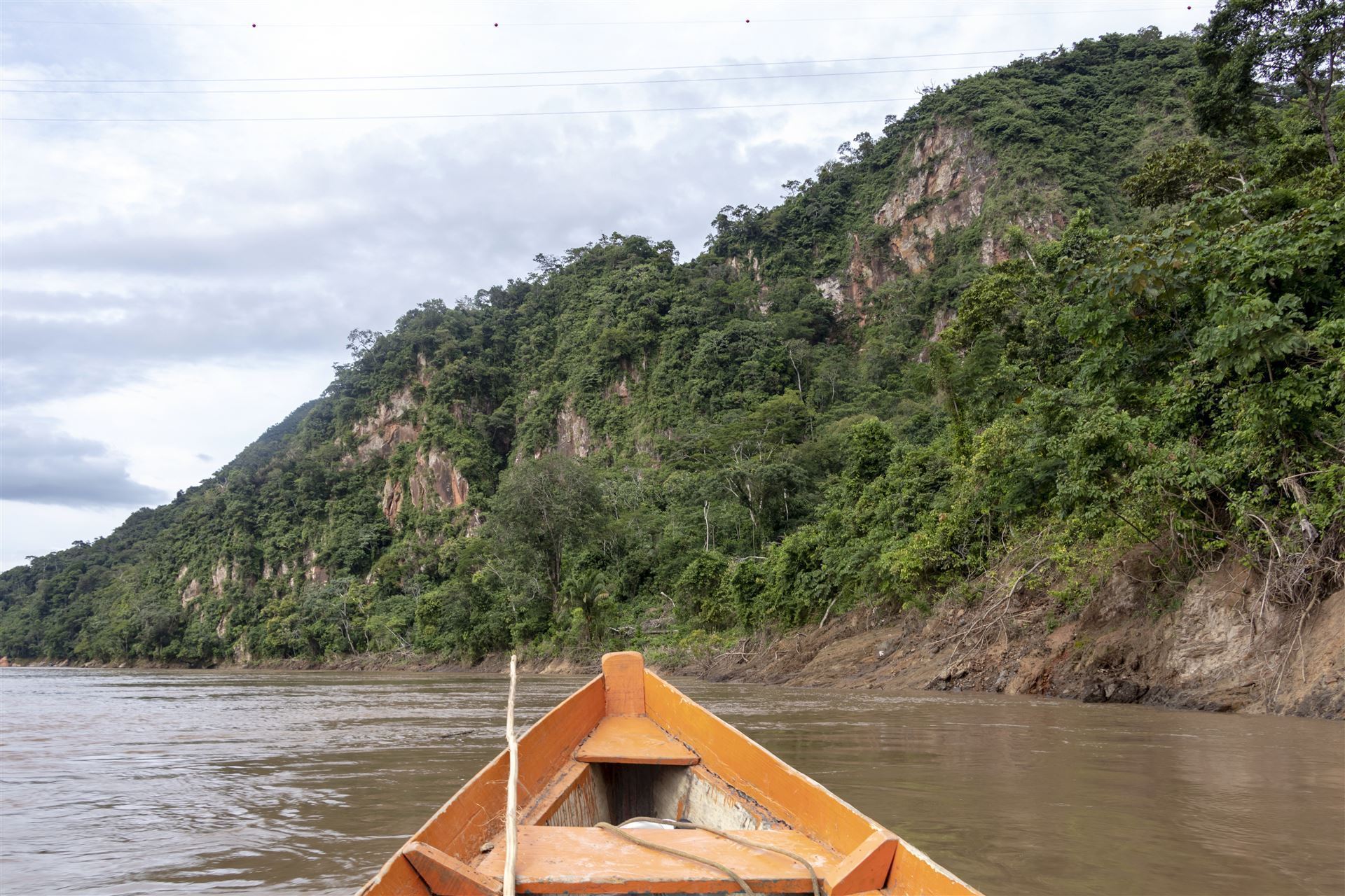 Regenwald mit Holzboot