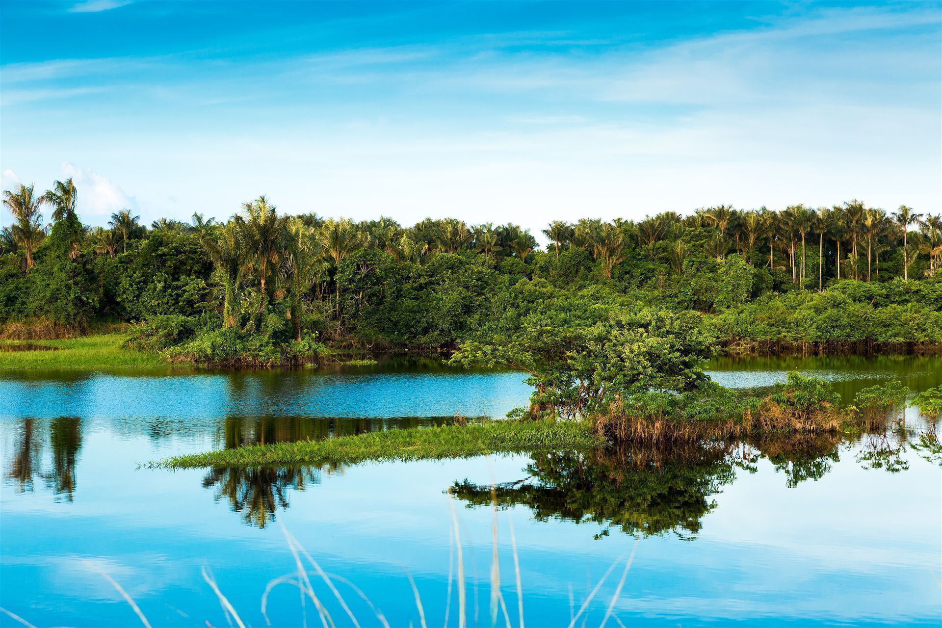 Amazonas