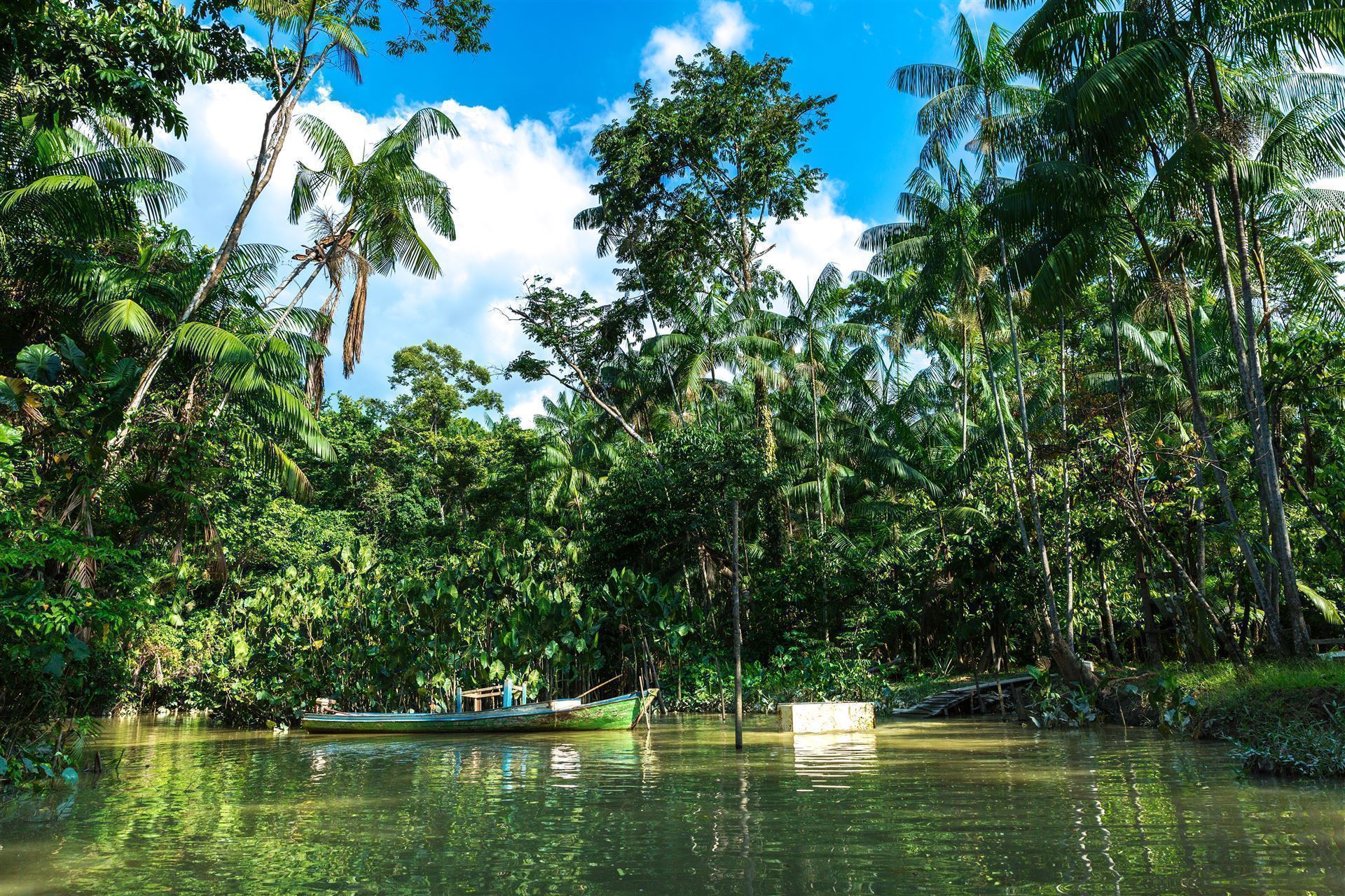 Amazonas