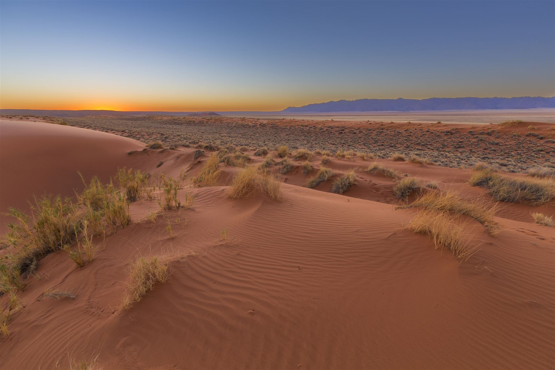 Kalahari Wüste_Sonnenuntergang