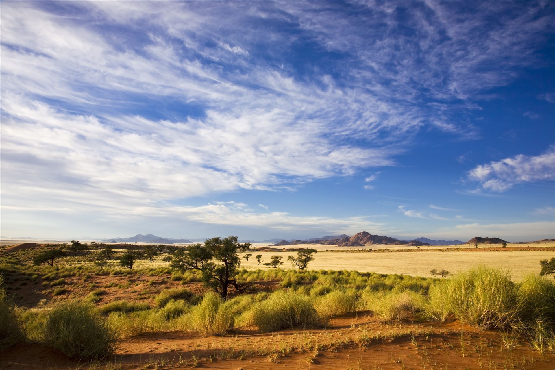 Namibia_Impressionen_Wüste