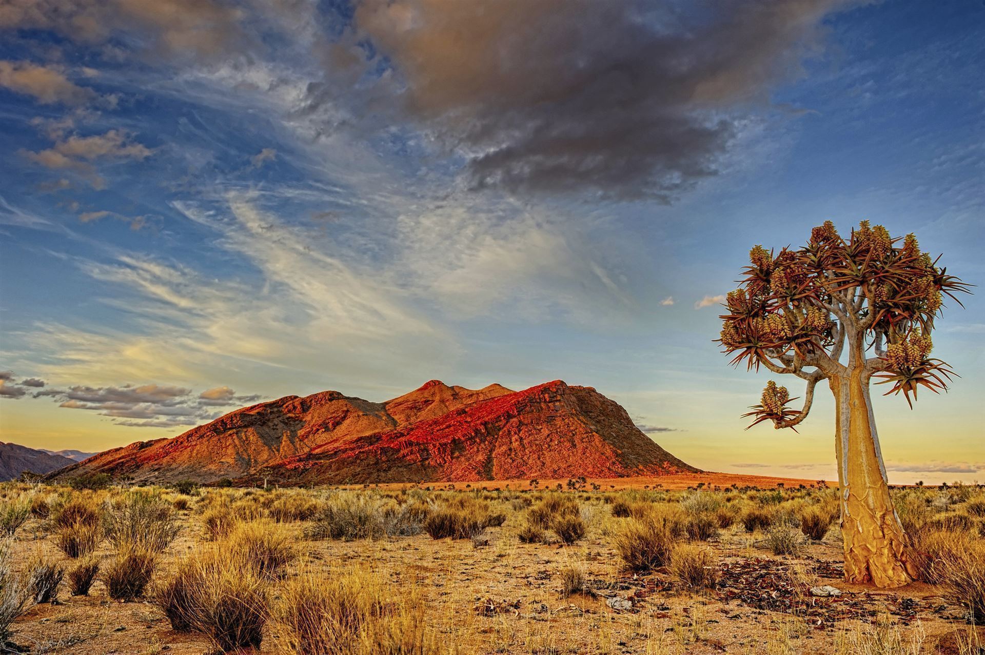 Namibia_Impressionen_wueste