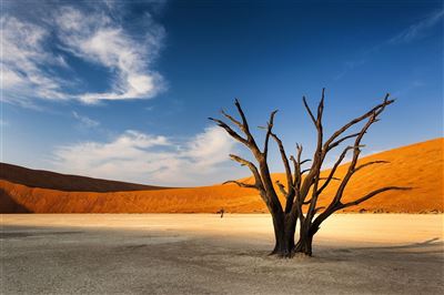 Namibia_Deadvlei