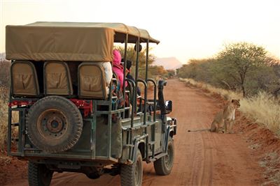 Namibia_Impressionen_Safari