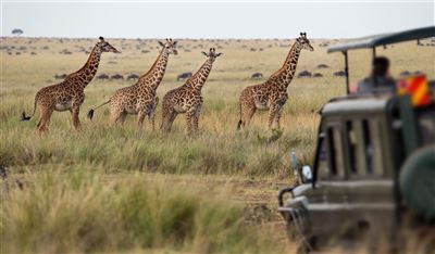 Namibia_Safari