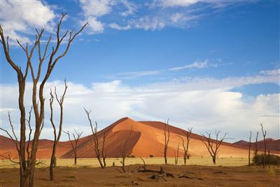 Namiba Sossusvlei Düne