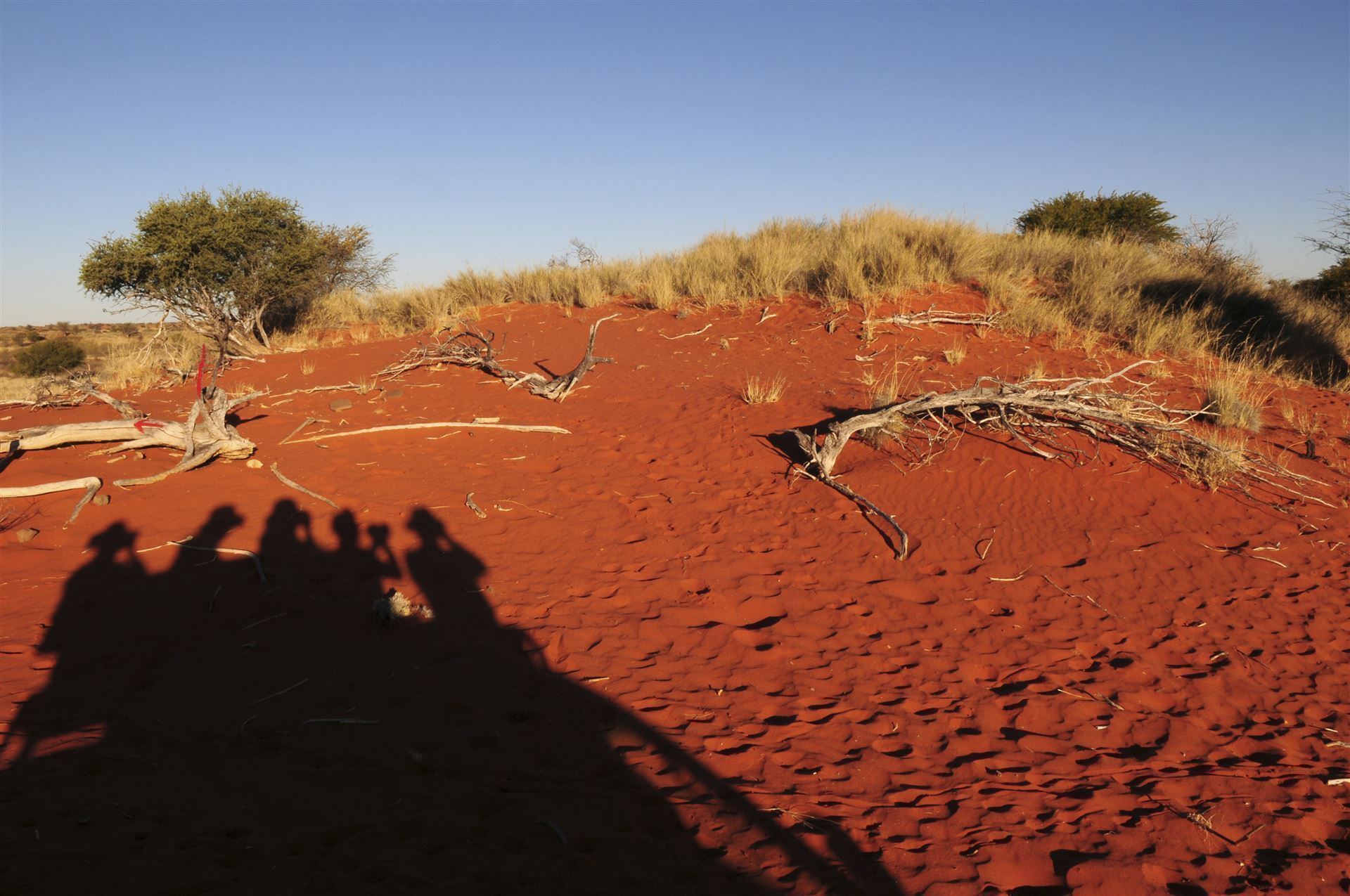 Namibia_Kalahari-Wüste_Sanddüne