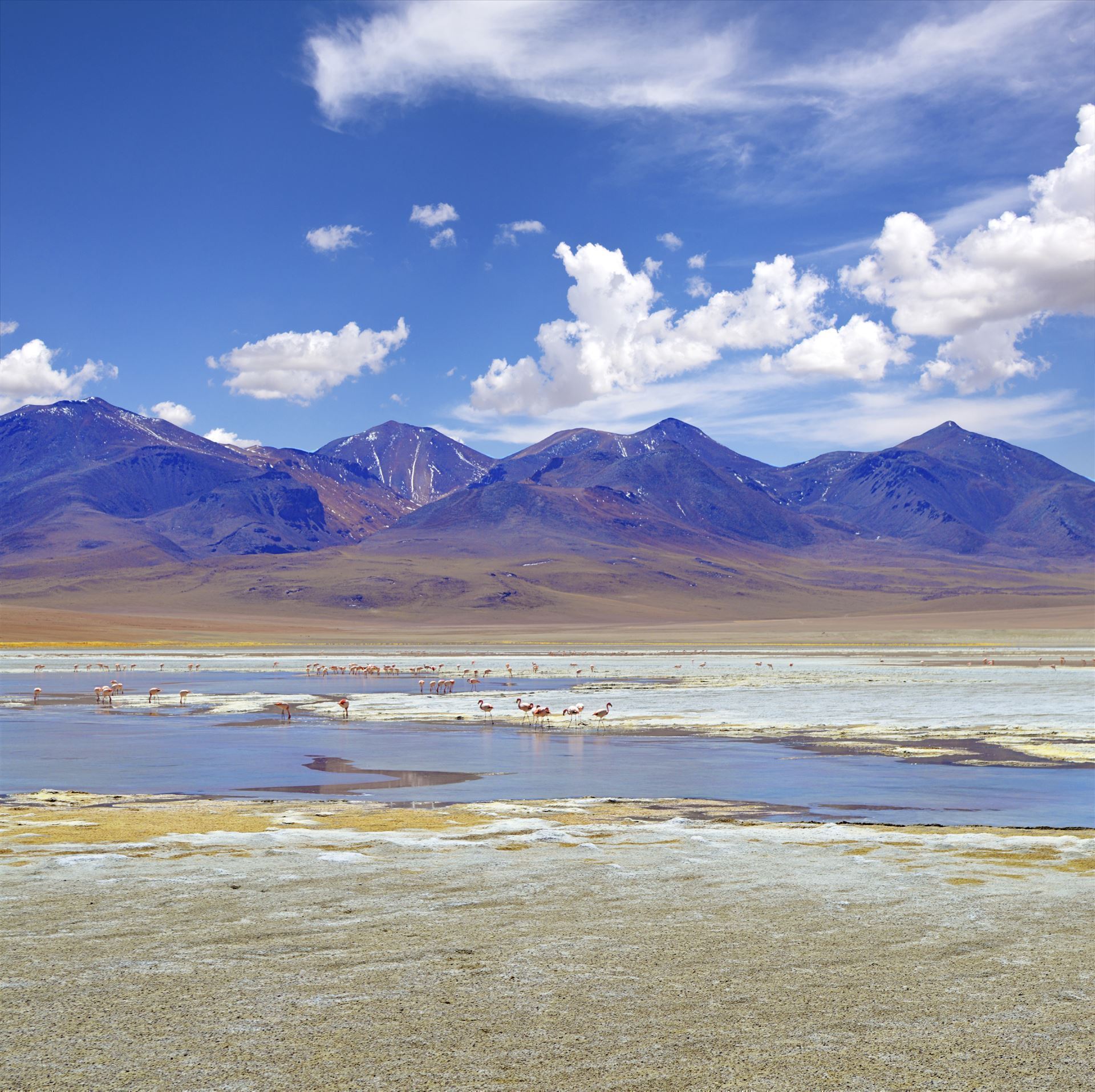 Salar de Atacama