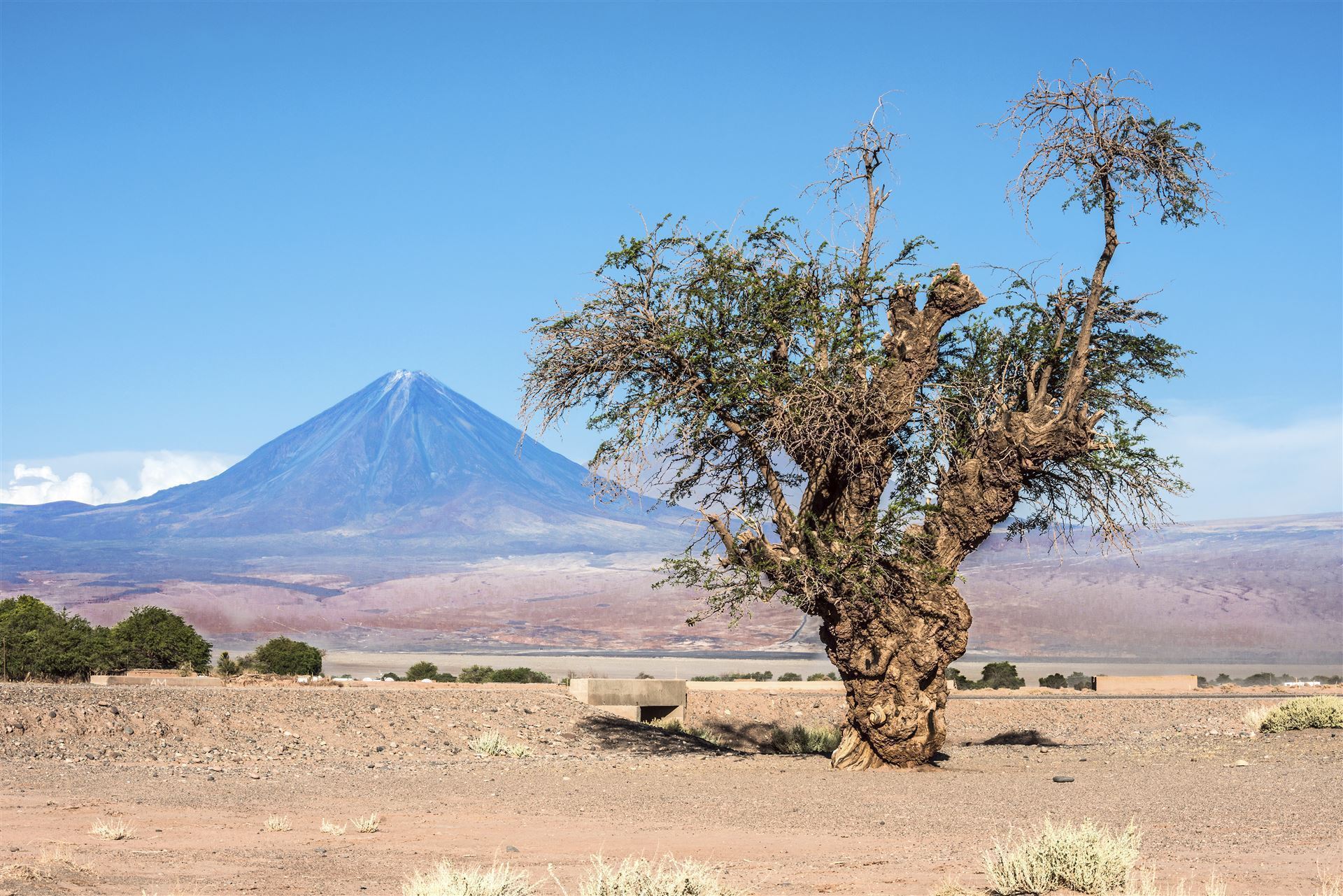 Chile Atacama Vulkan Licancabur
