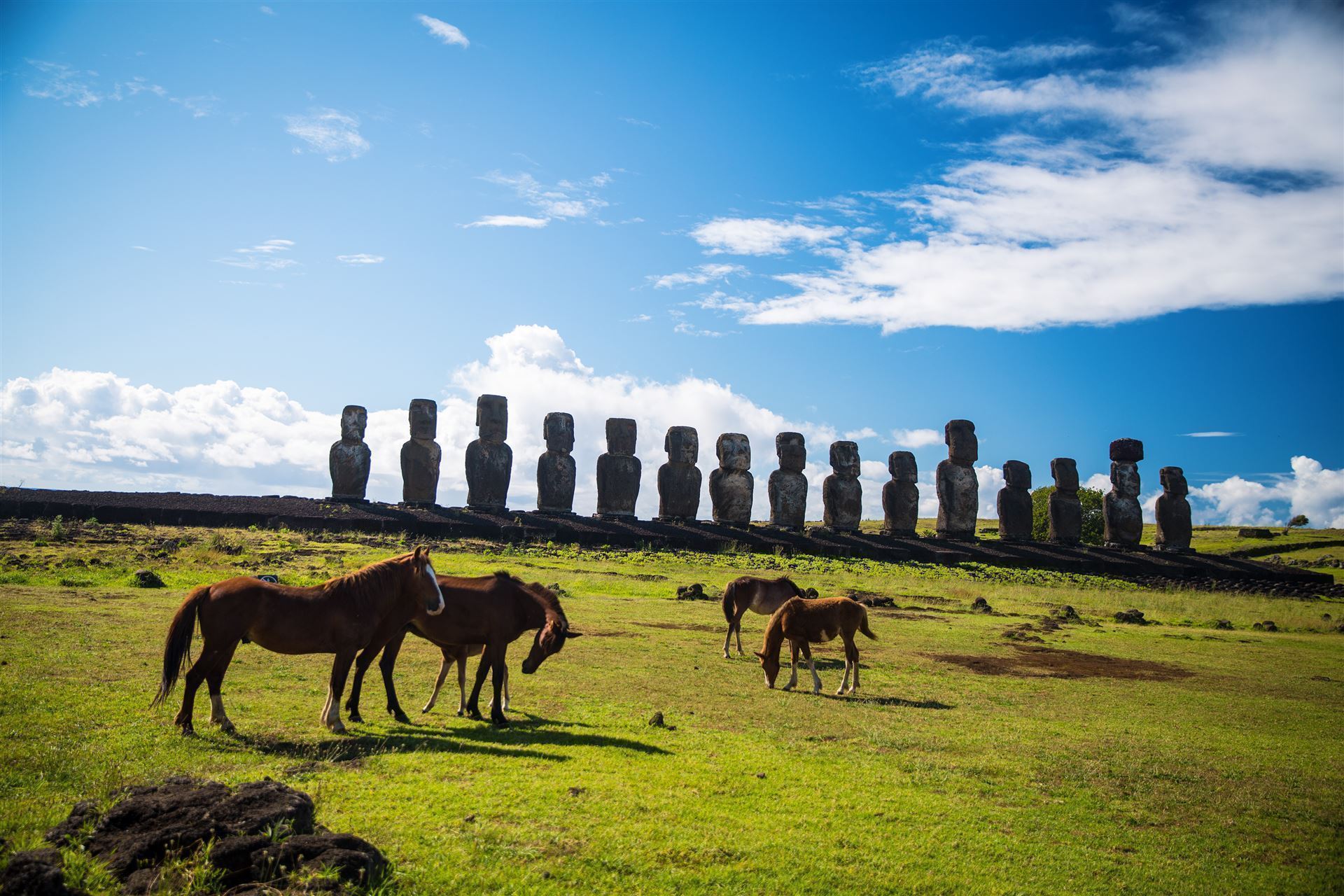 Ahu Tongariki